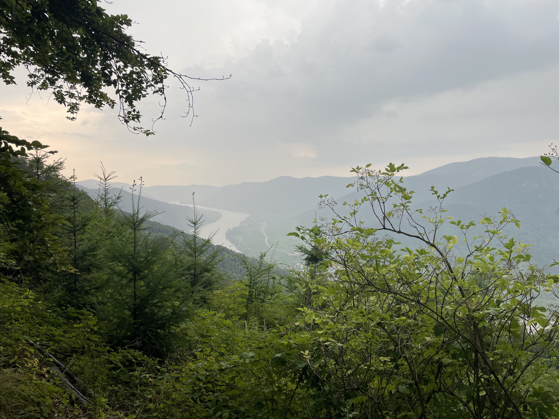 View from the trail down to <i>Spitz an der Donau</i>