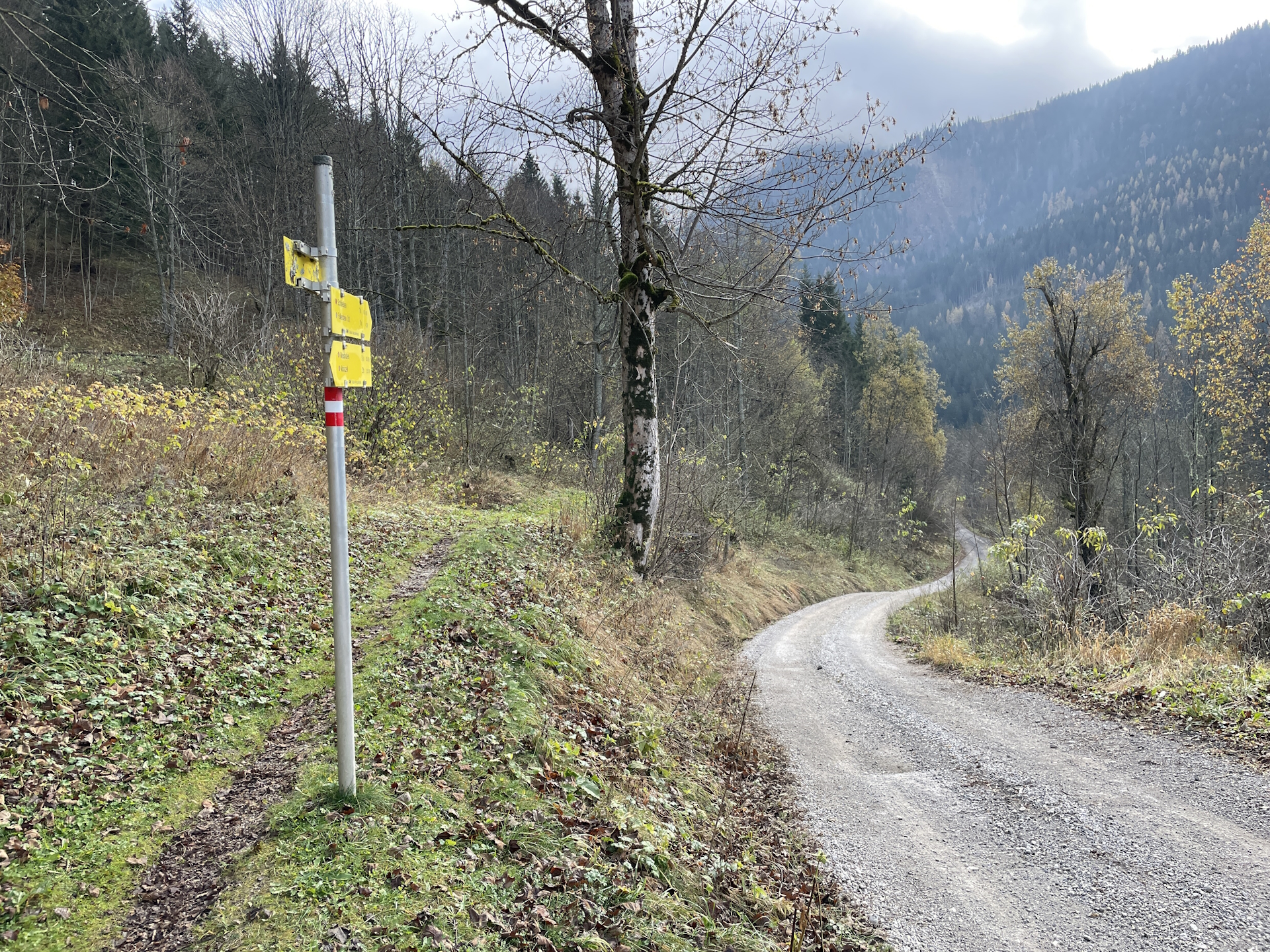 Follow the gravel road towards <i>Schöneben</i>