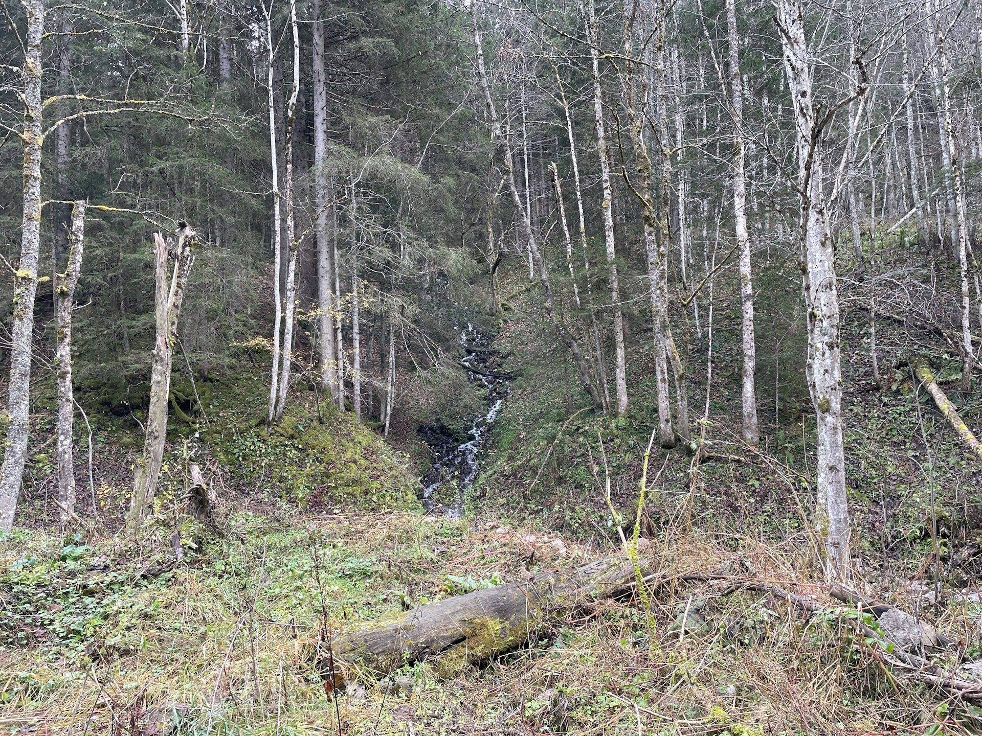 On the road towards <i>Schöneben</i>