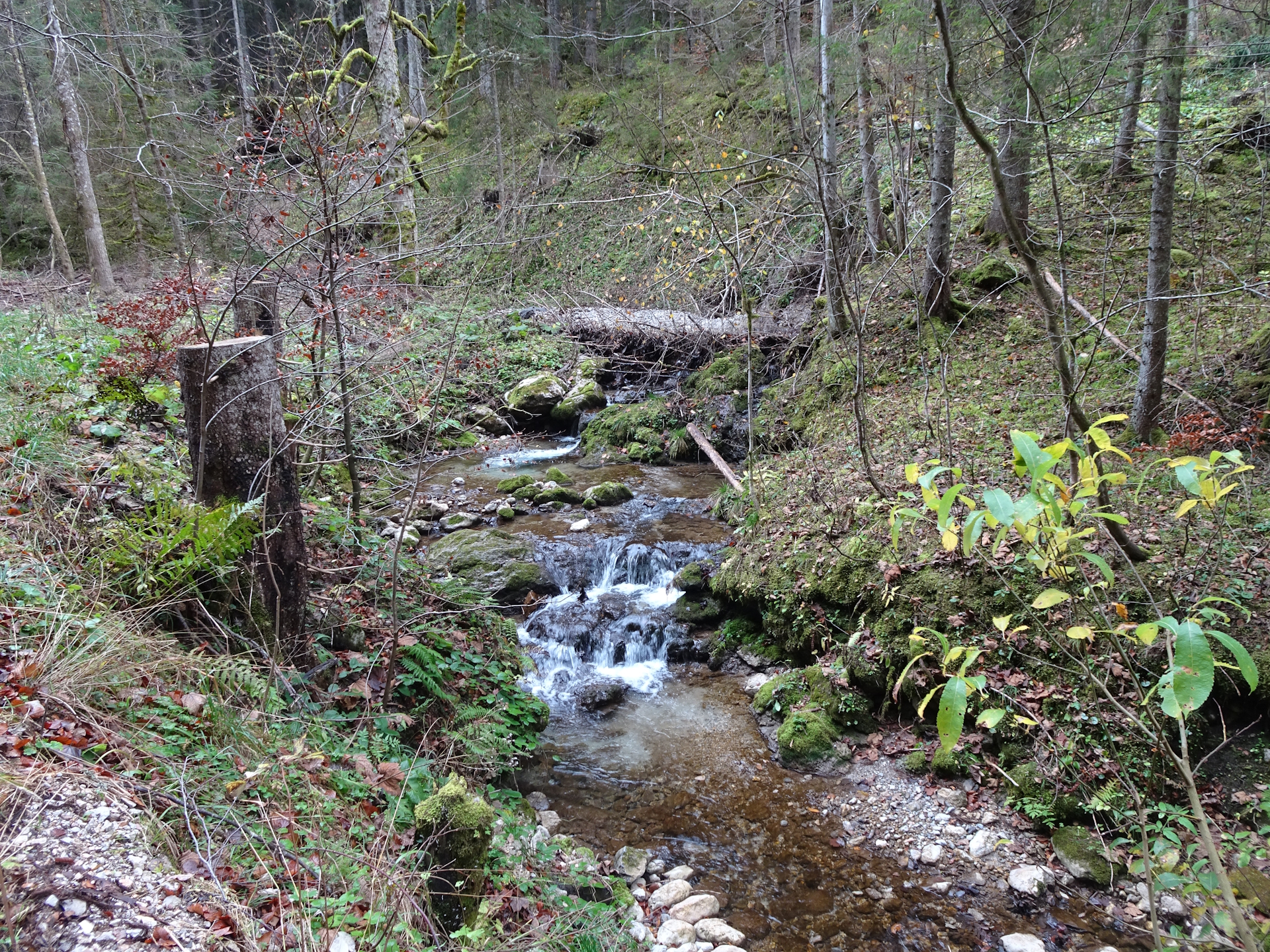 View from the road towards <i>Schöneben</i>
