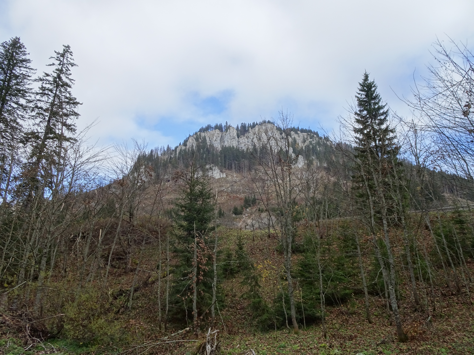 View from <i>Schöneben</i>