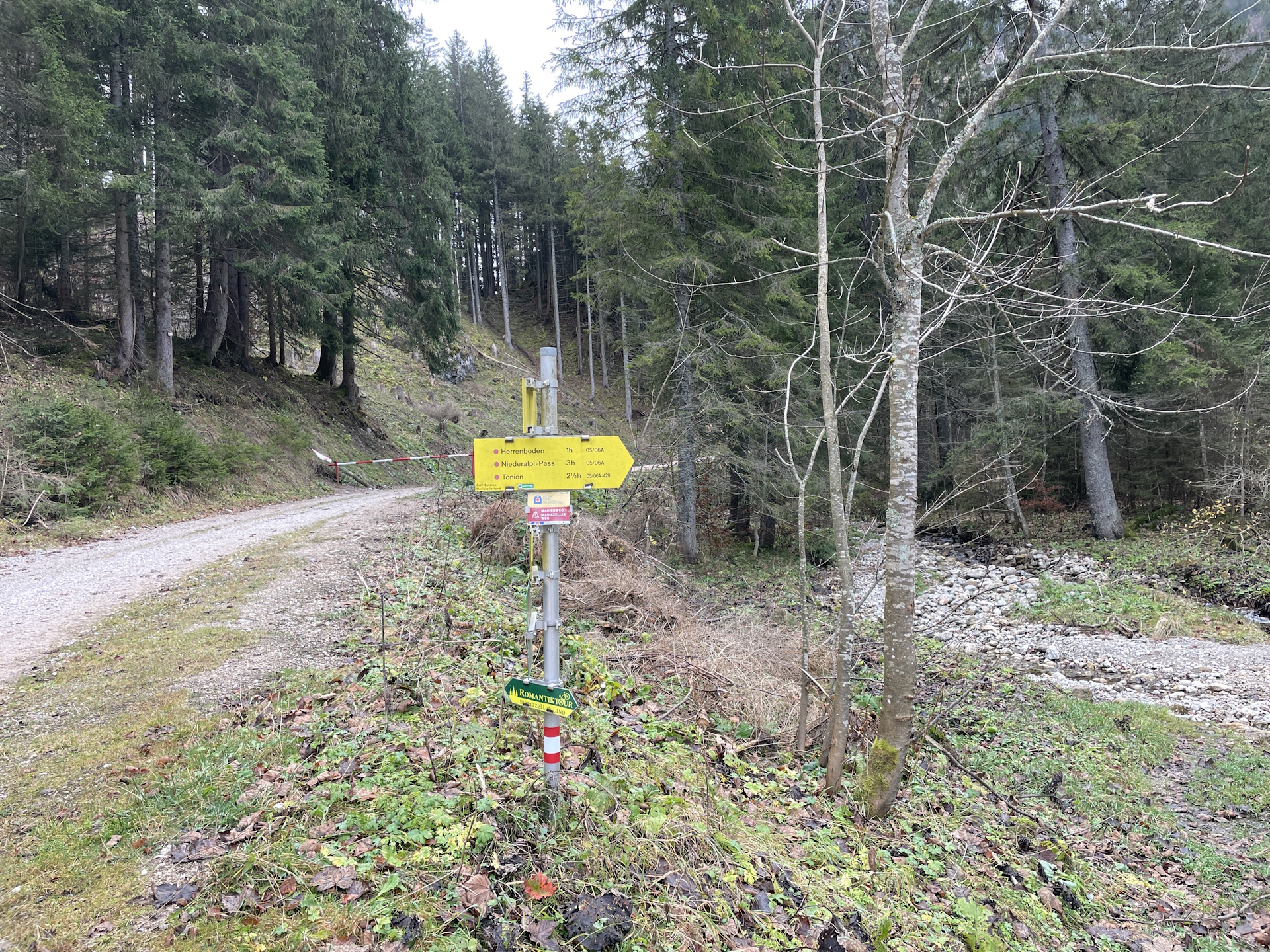 Leave the road in <i>Schöneben</i> and follow the trail towards <i>Herrenboden</i>