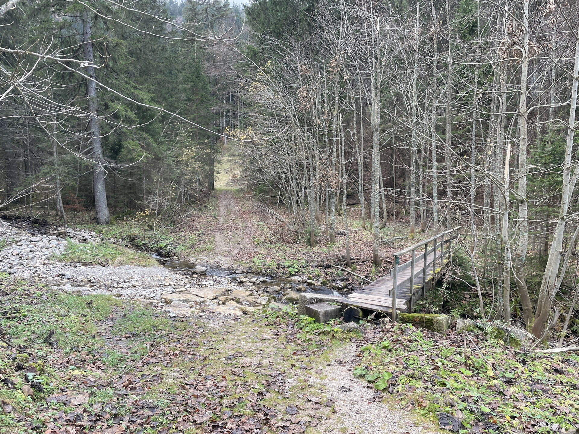 The trail up to <i>Herrenboden</i>
