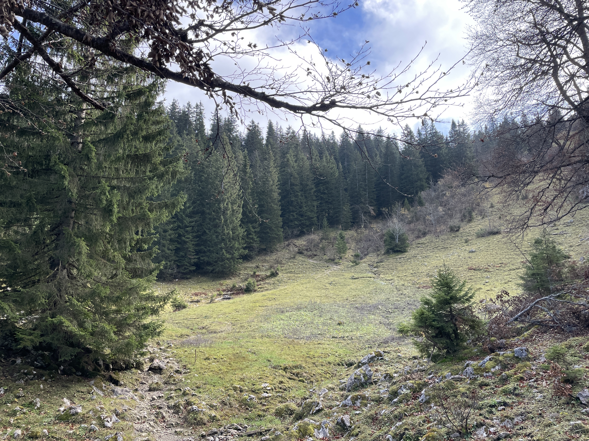 On the trail up to <i>Herrenboden</i>