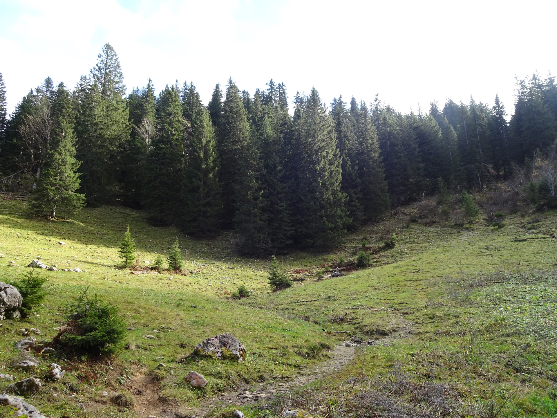 On the trail up to <i>Herrenboden</i>
