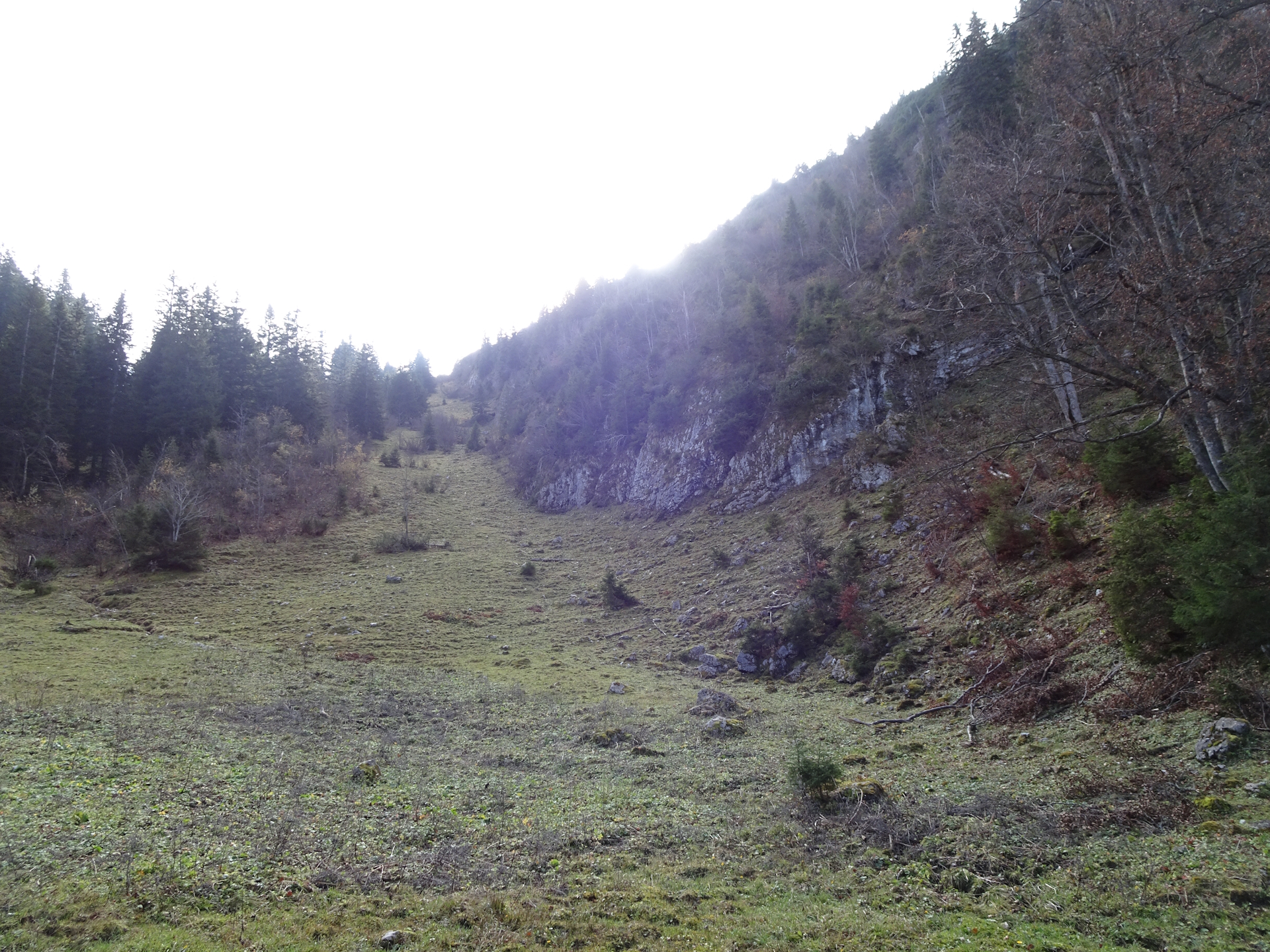 On the trail up to <i>Herrenboden</i>