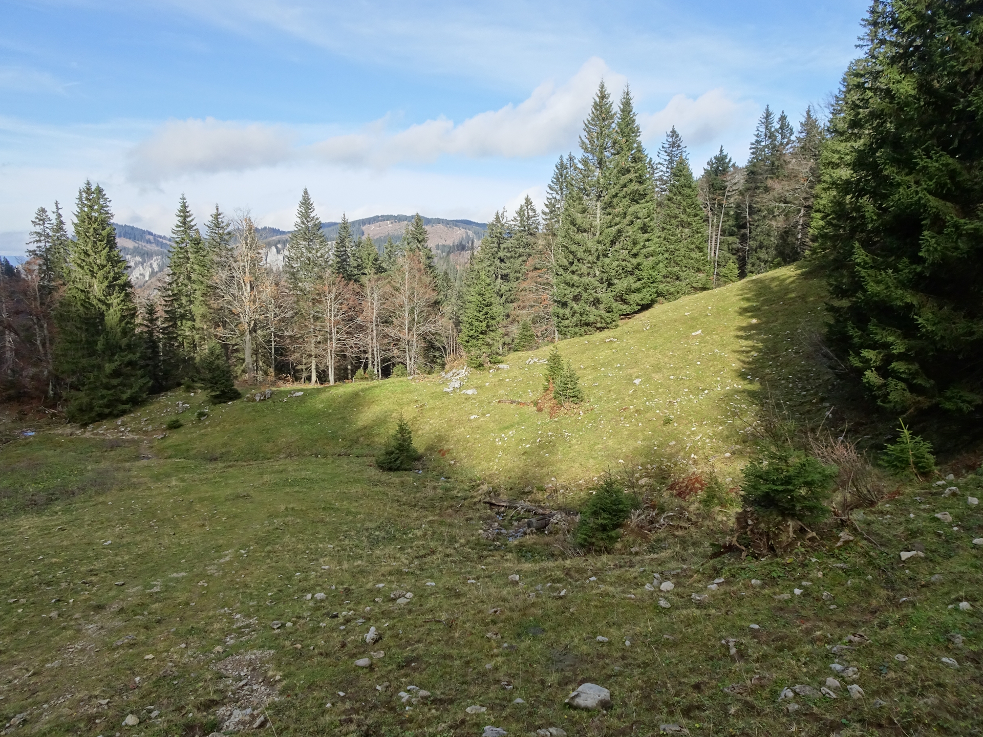 On the trail up to <i>Herrenboden</i>
