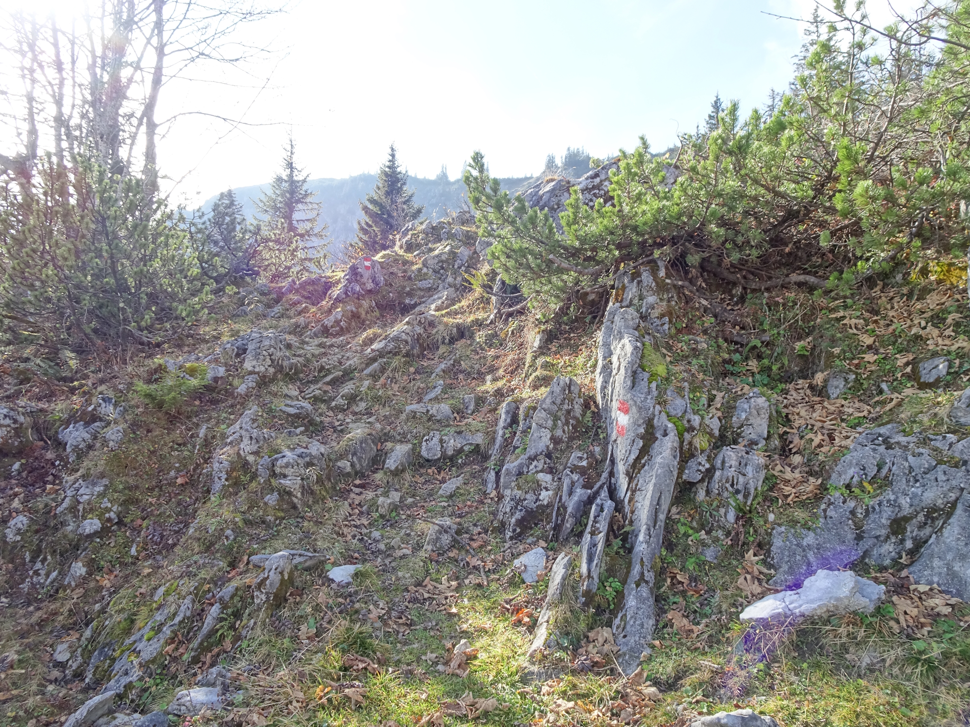 On the trail up to <i>Tonion</i>