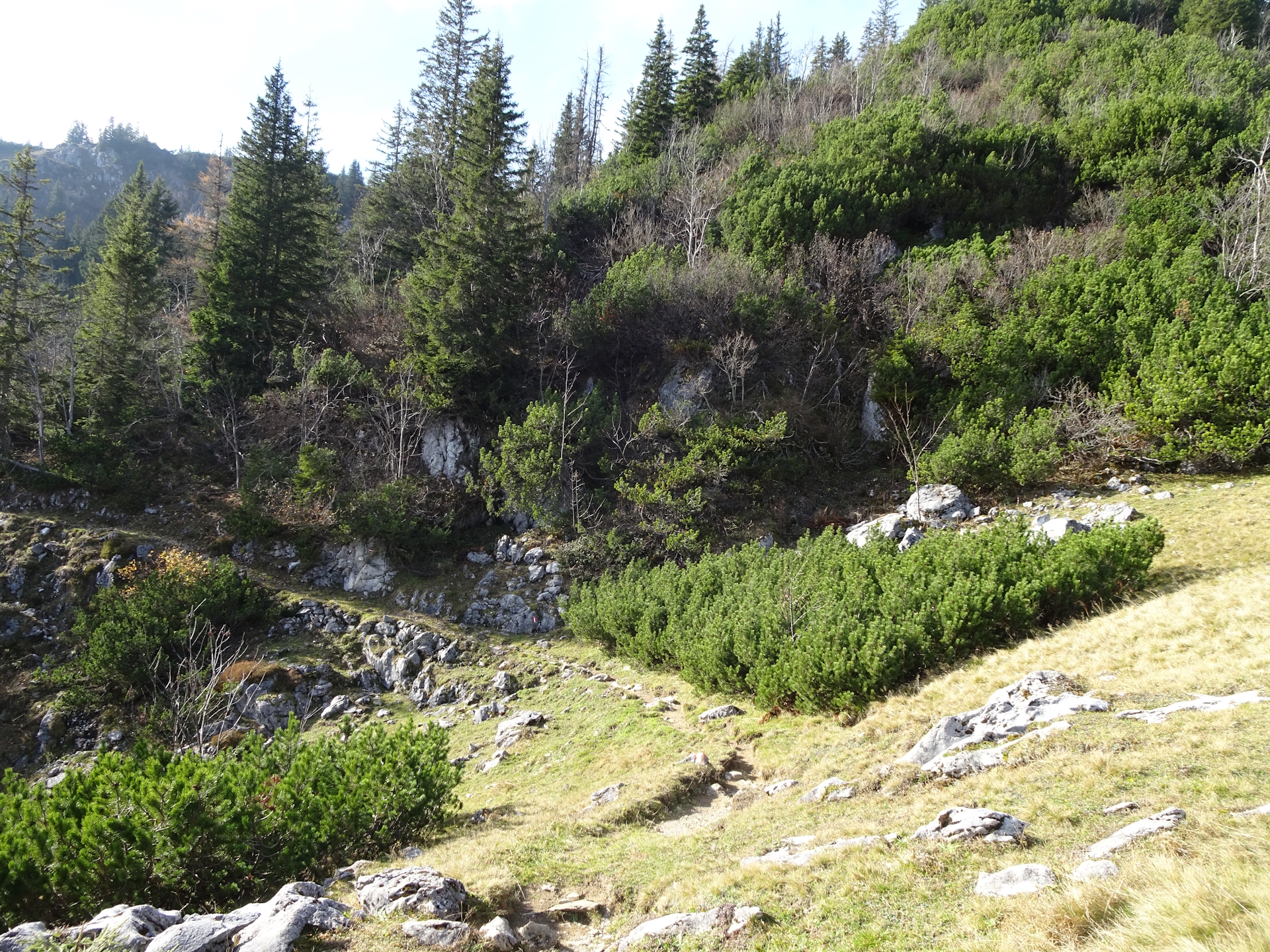 The trail up to <i>Tonion</i>