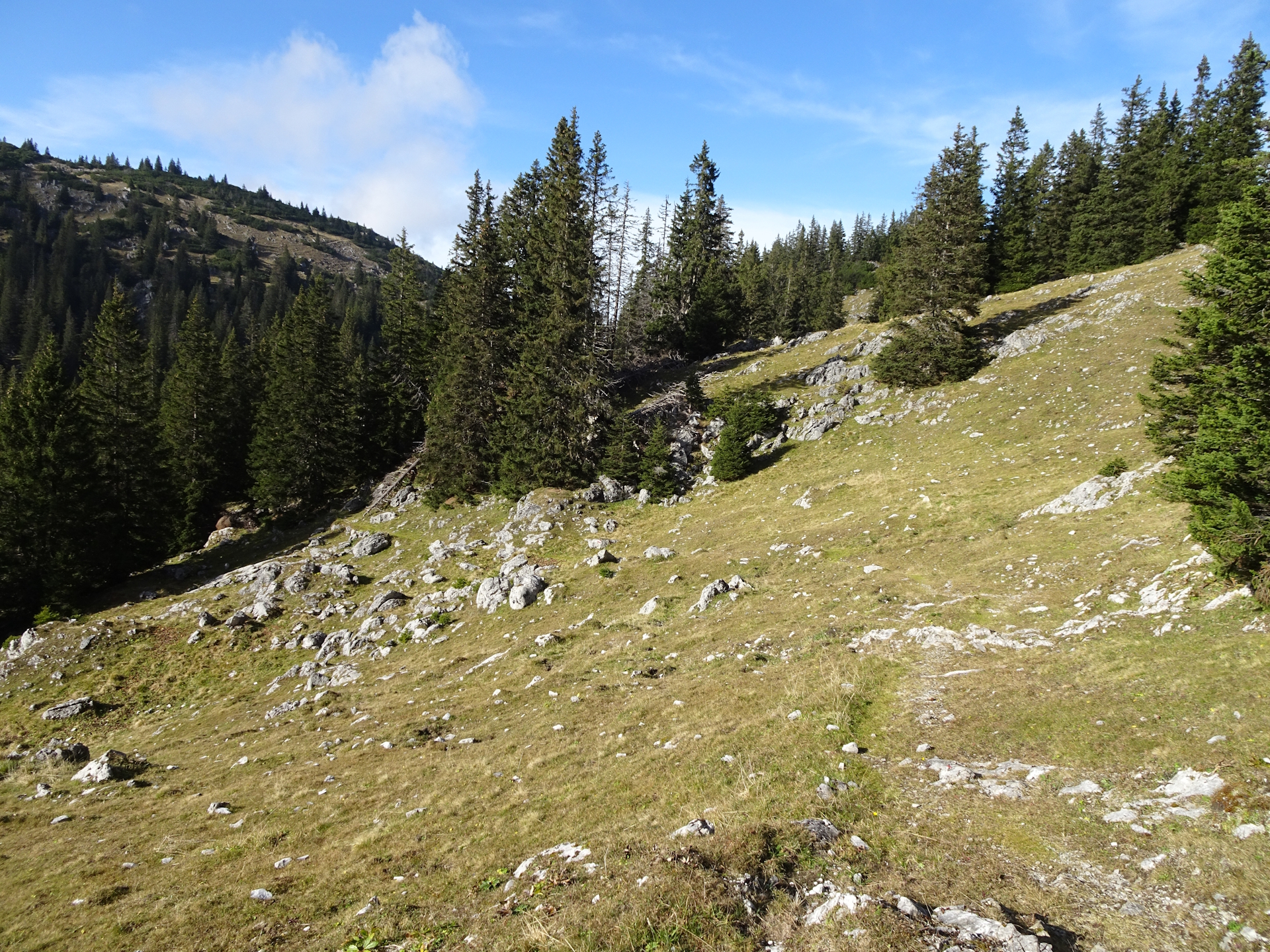 On the trail up to <i>Tonion</i>