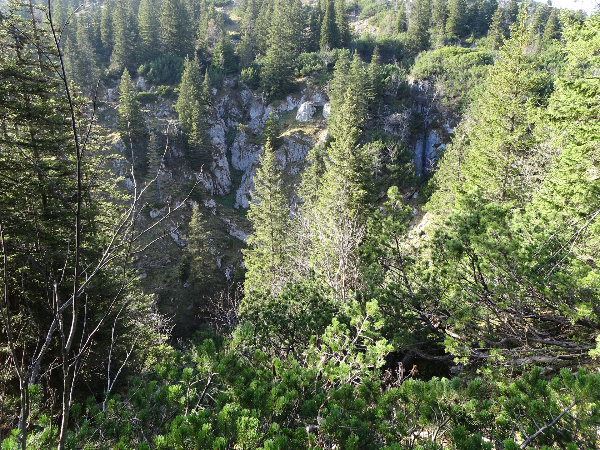 View from the trail up to <i>Tonion</i>