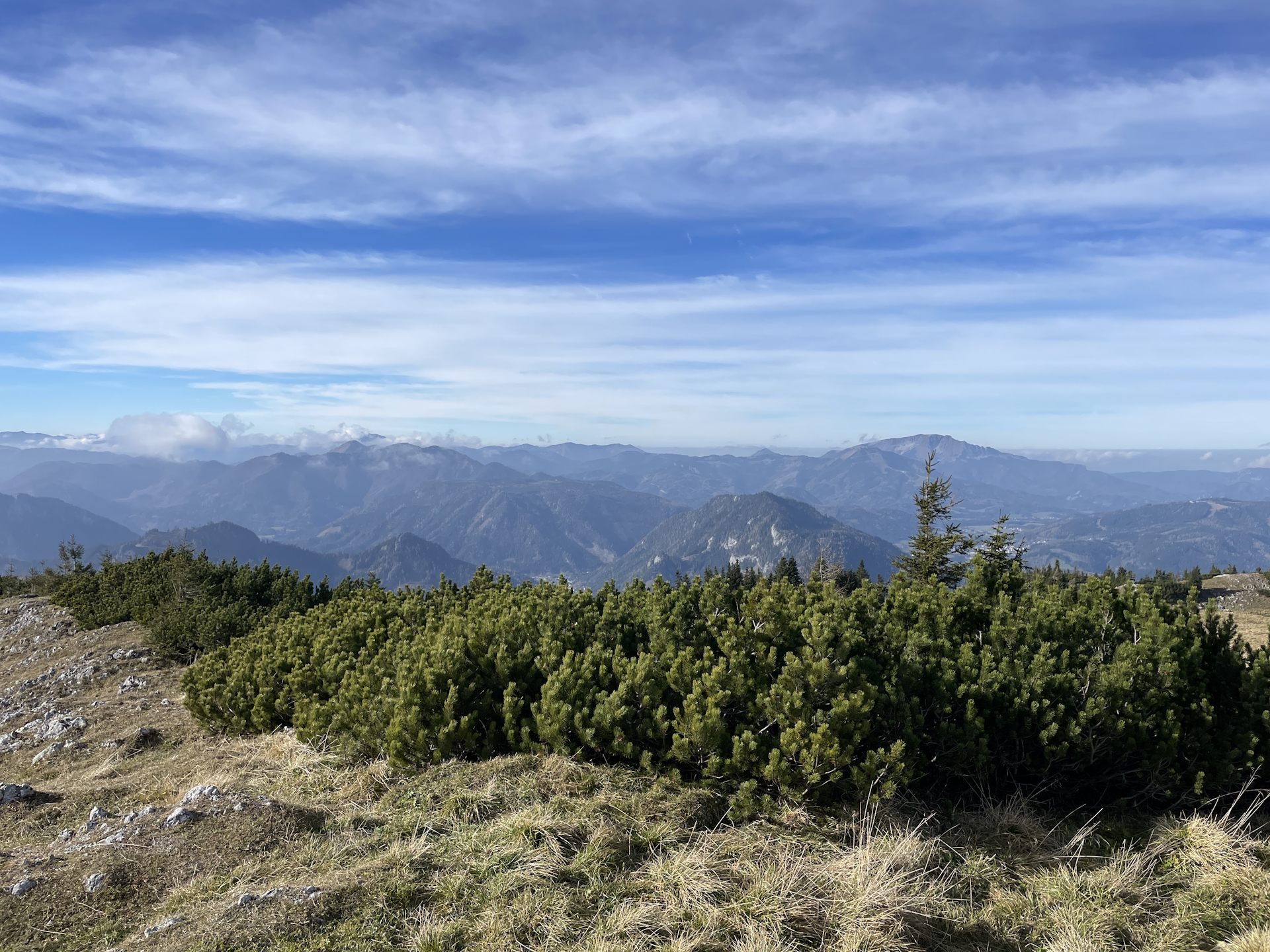 View back to <i>Ötscher</i> and <i>Gemeindealpe</i> from <i>Tonion</i>
