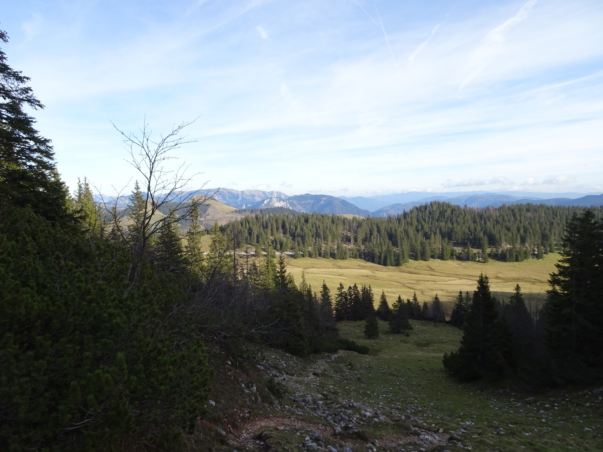 On the way back to <i>Herrenboden</i>