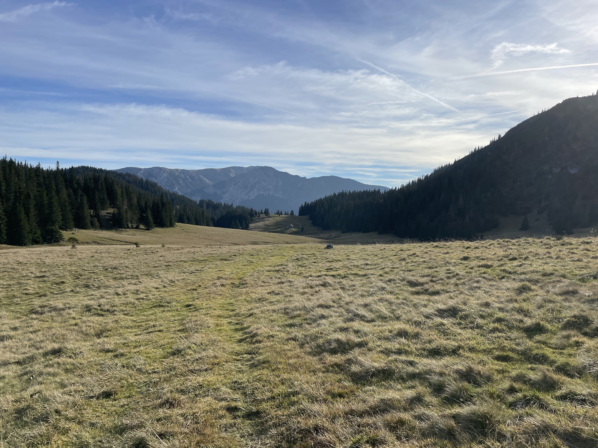 Towards <i>Niederalpl</i> from <i>Herrenboden</i>