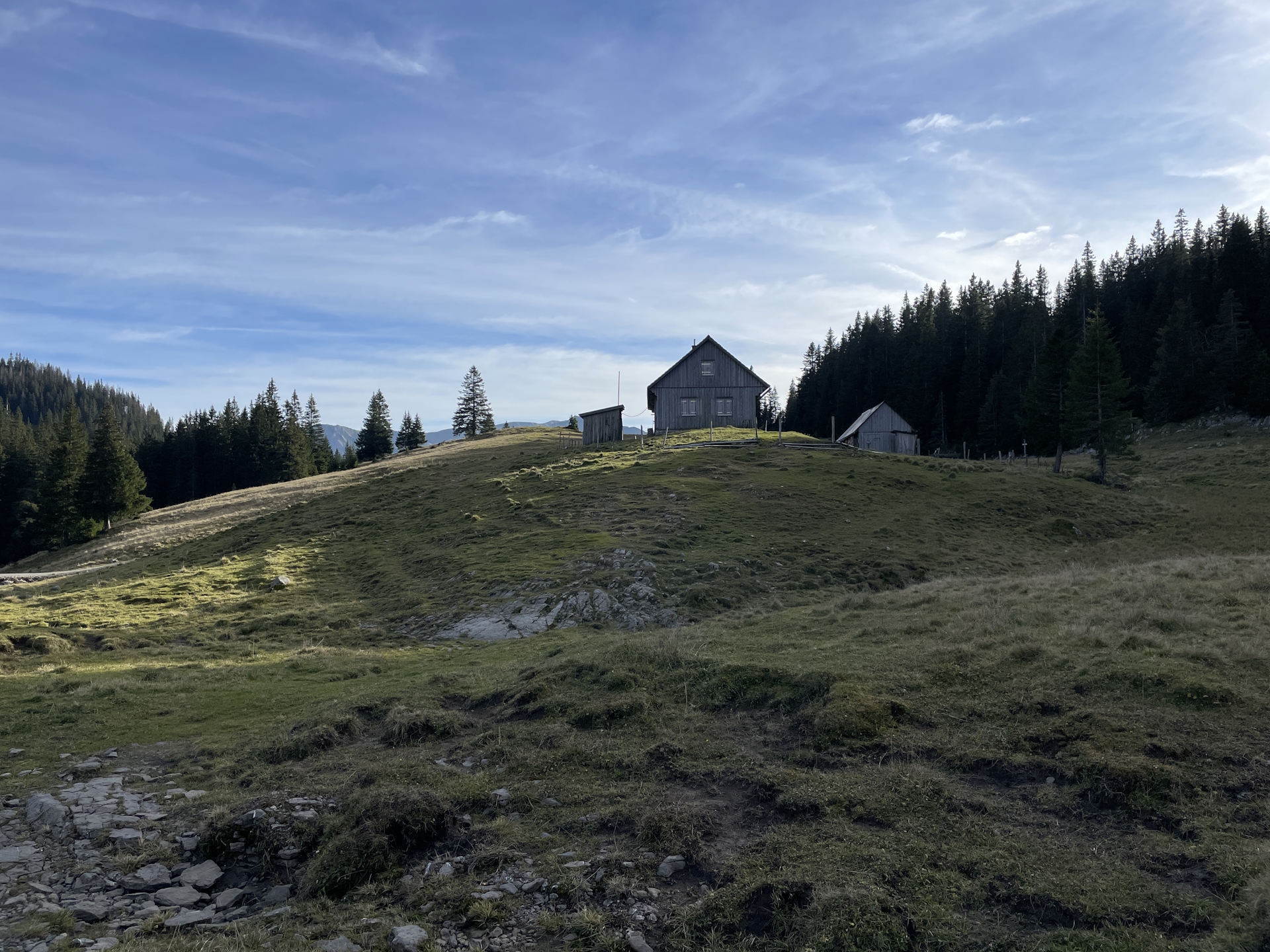 On the trail towards <i>Niederalpl</i>