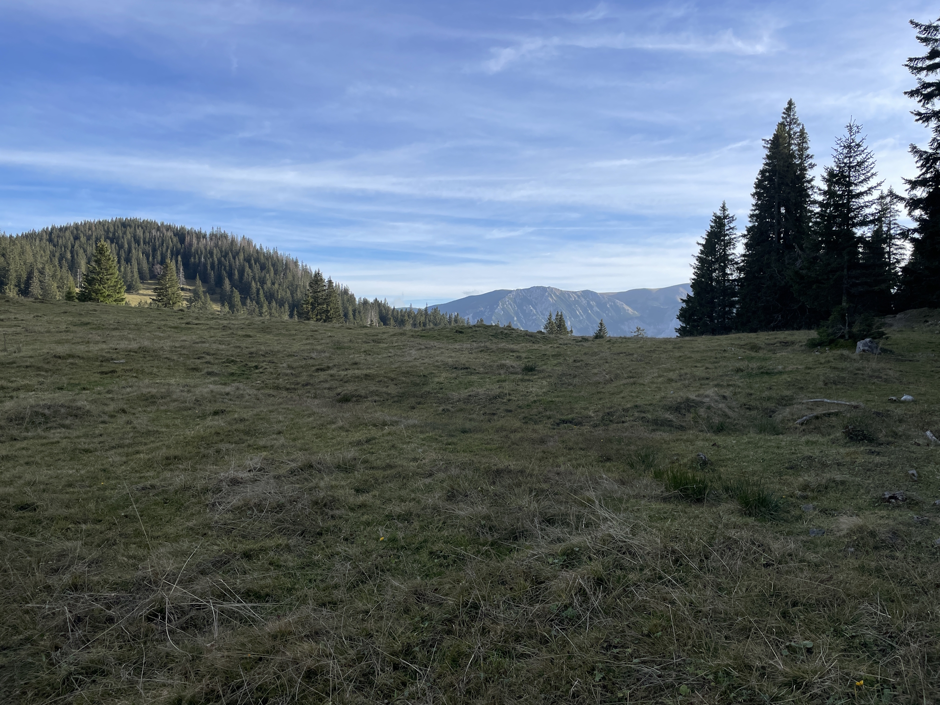 The <i>Wildkamm</i> seen from the trail