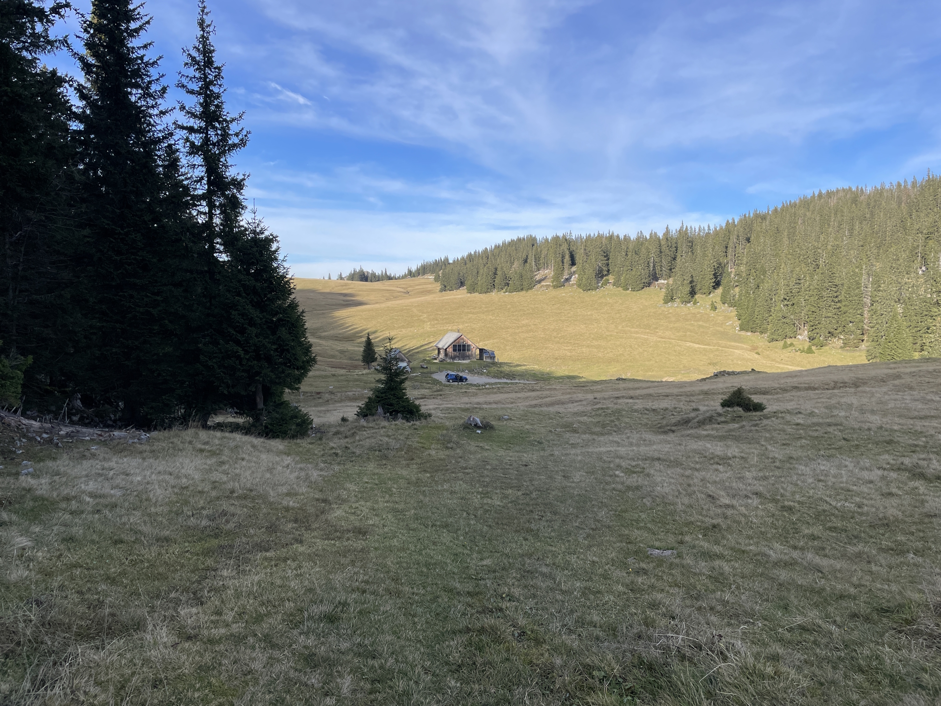 View back up to <i>Herrenboden</i>