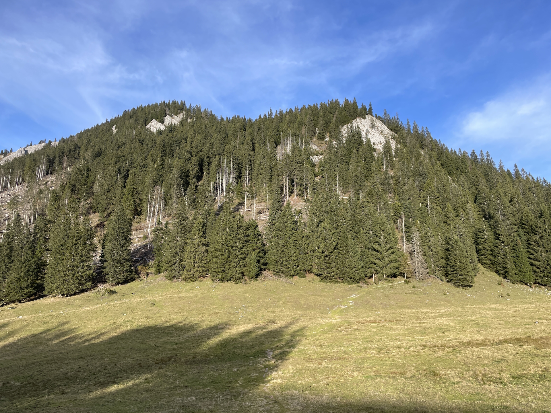 View back on the trail from <i>Ochsenboden</i>