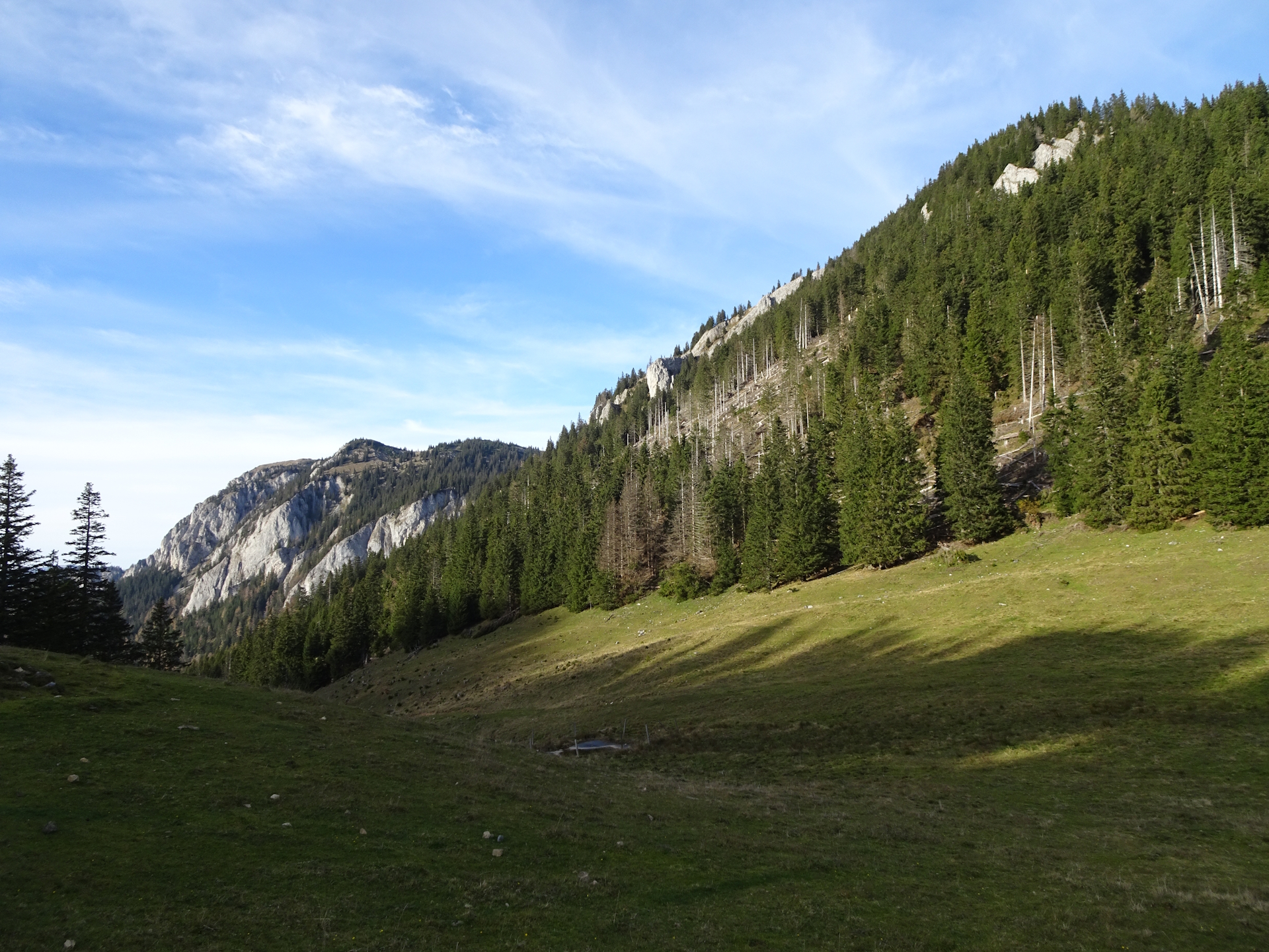 View from <i>Ochsenboden</i>