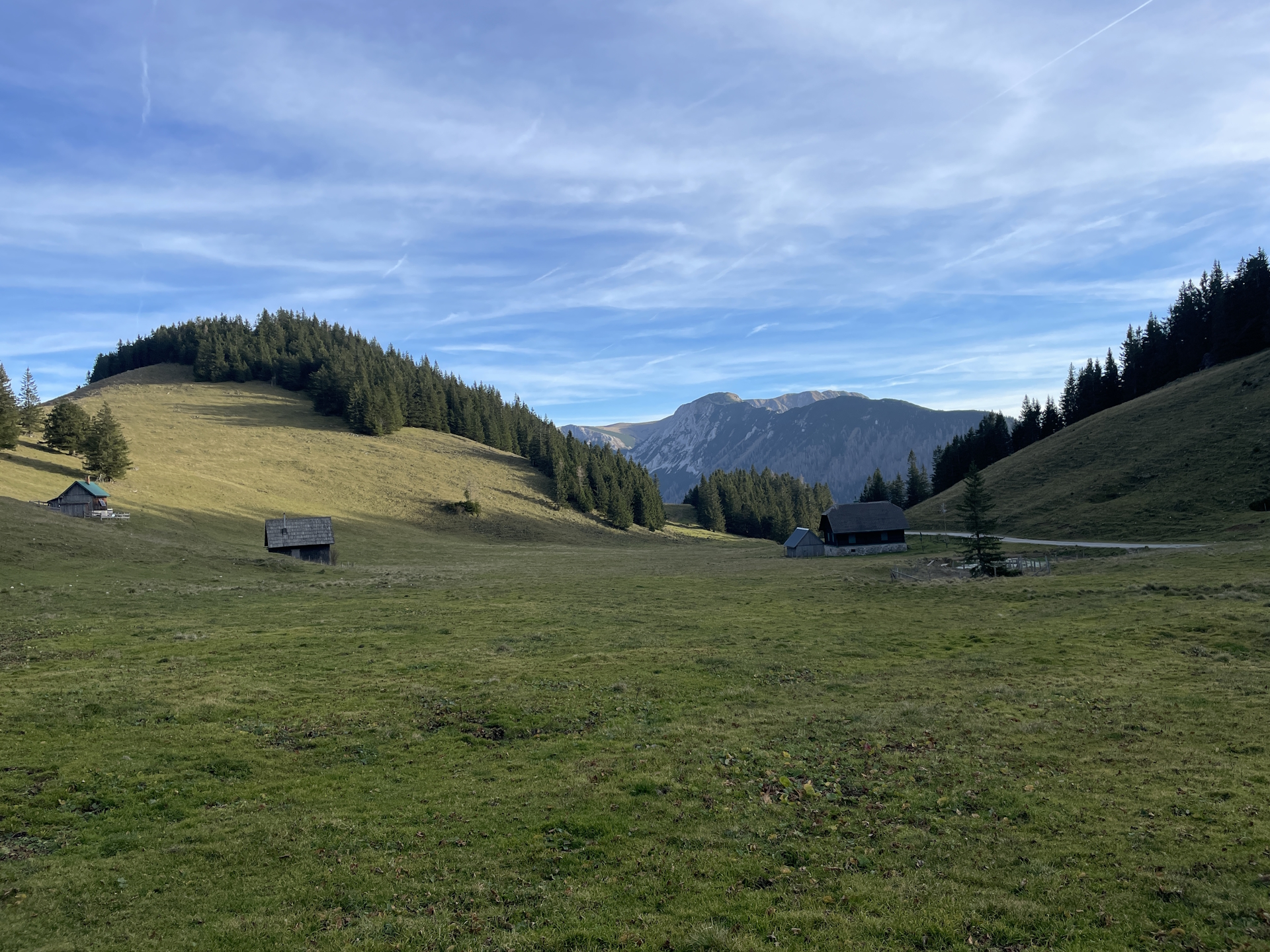 The <i>Hohe Veitsch</i> seen from <i>Weißalm</i>