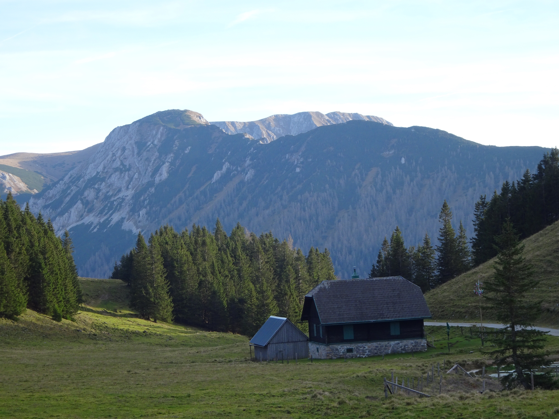 The <i>Hohe Veitsch</i> seen from <i>Weißalm</i>