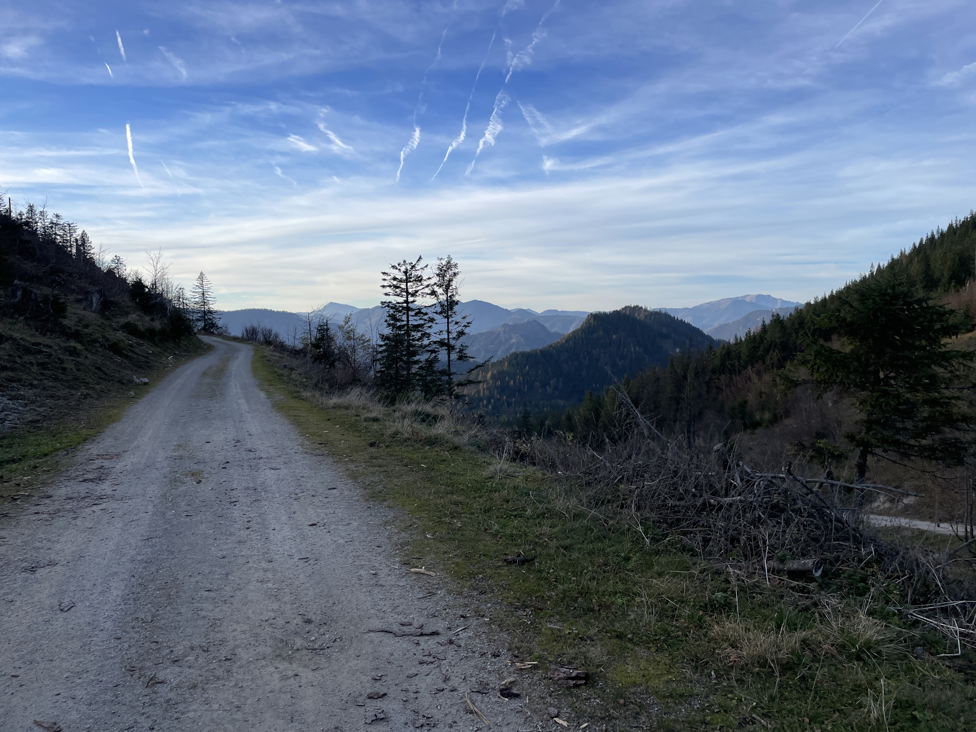 Towards <i>Wetterinalm</i> from <i>Wetterl</i>