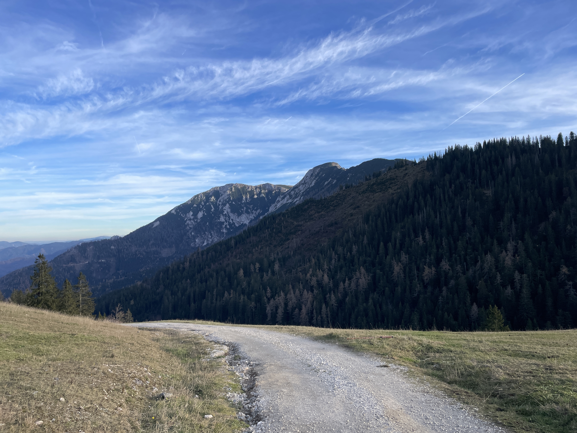 The <i>Hohe Veitsch</i> seen from <i>Wetterinalm</i>