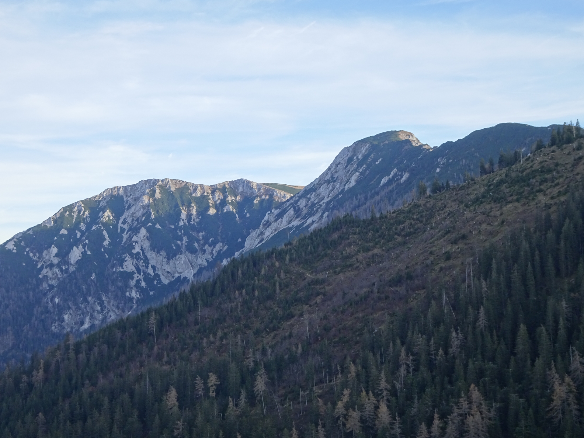the <i>Hohe Veitsch</i> seen from <i>Wetterinalm</i>