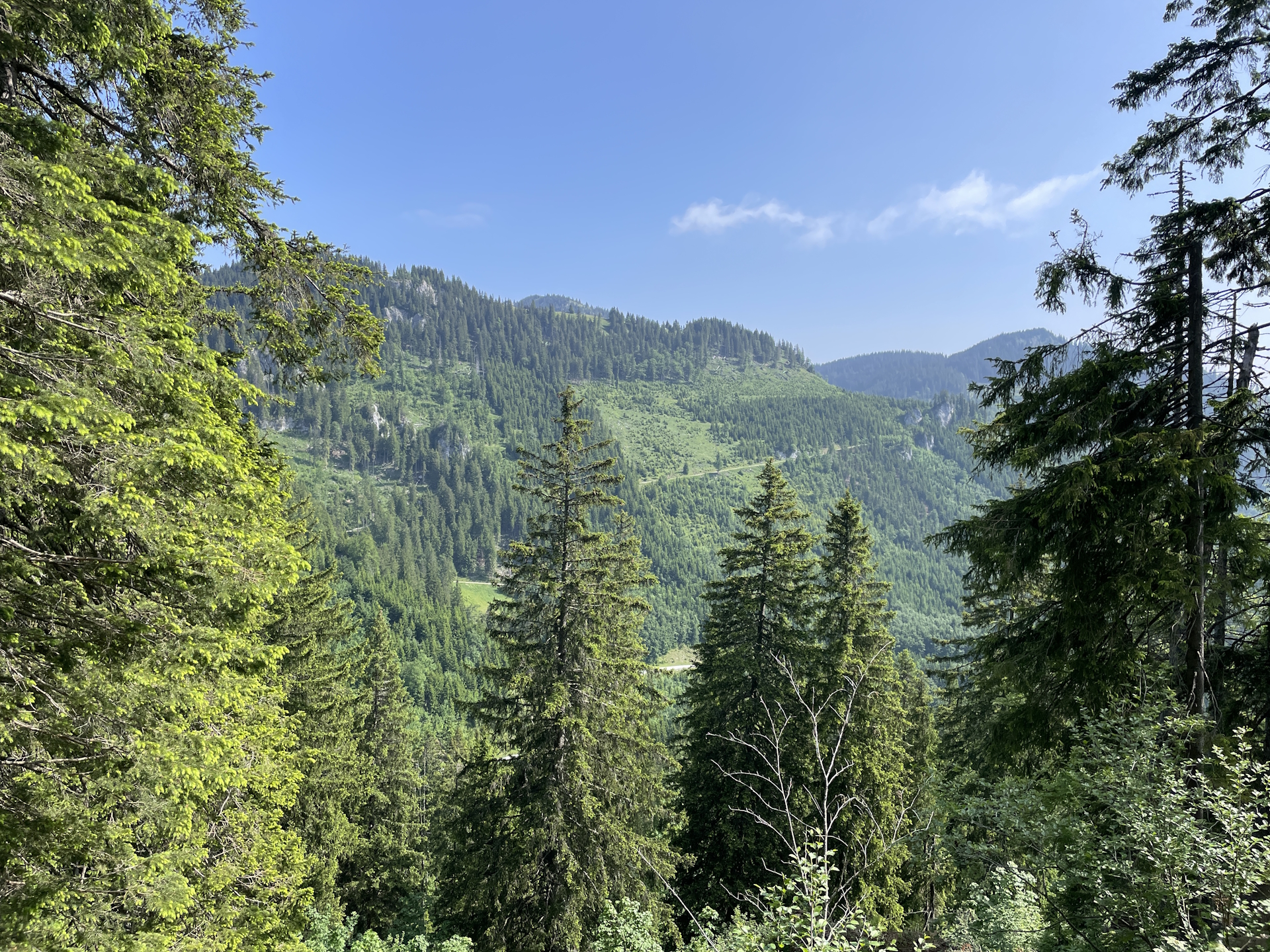 On the trail towards <i>Sohlenalm</i>