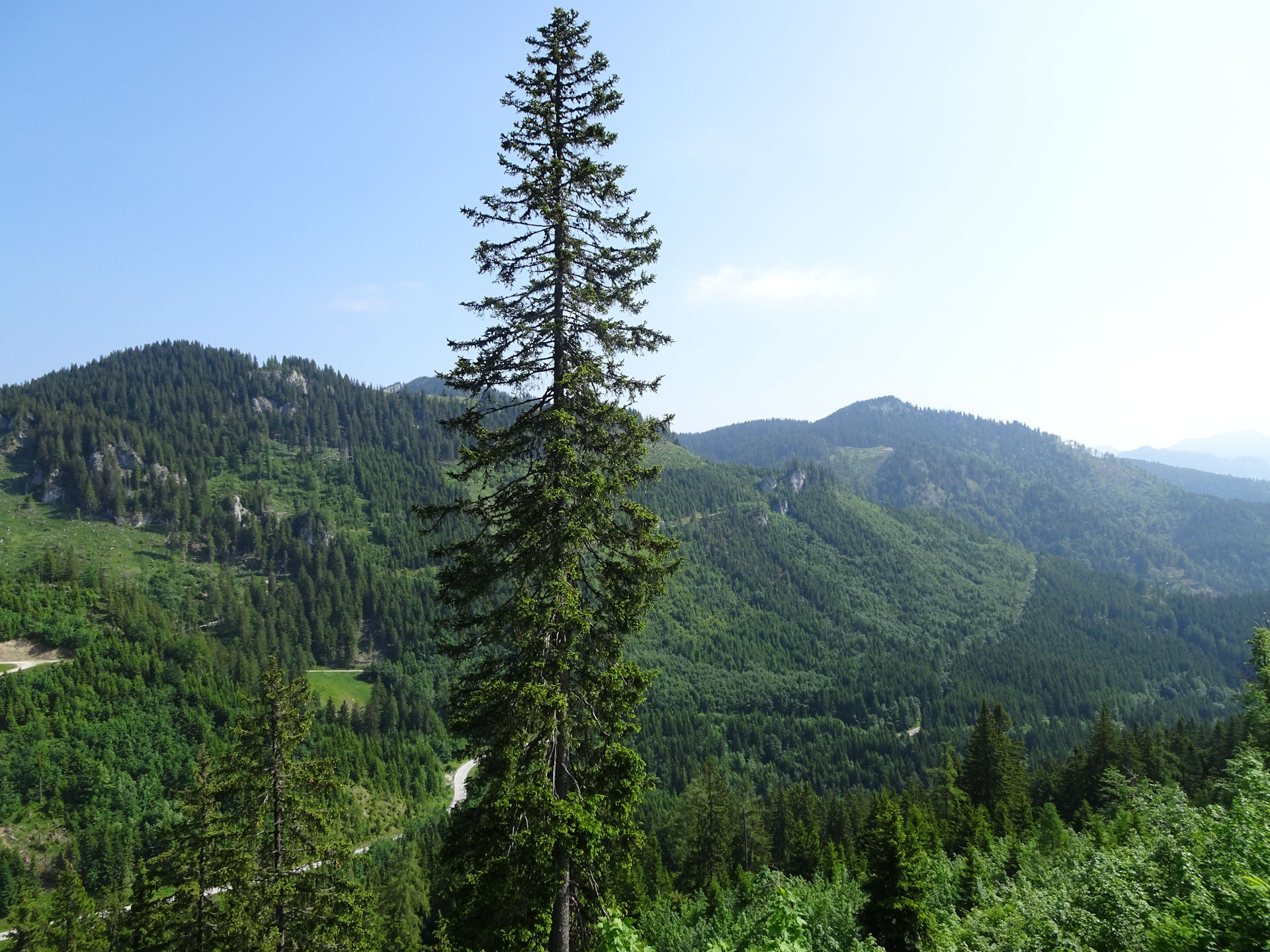 View from the trail towards <i>Sohlenalm</i>