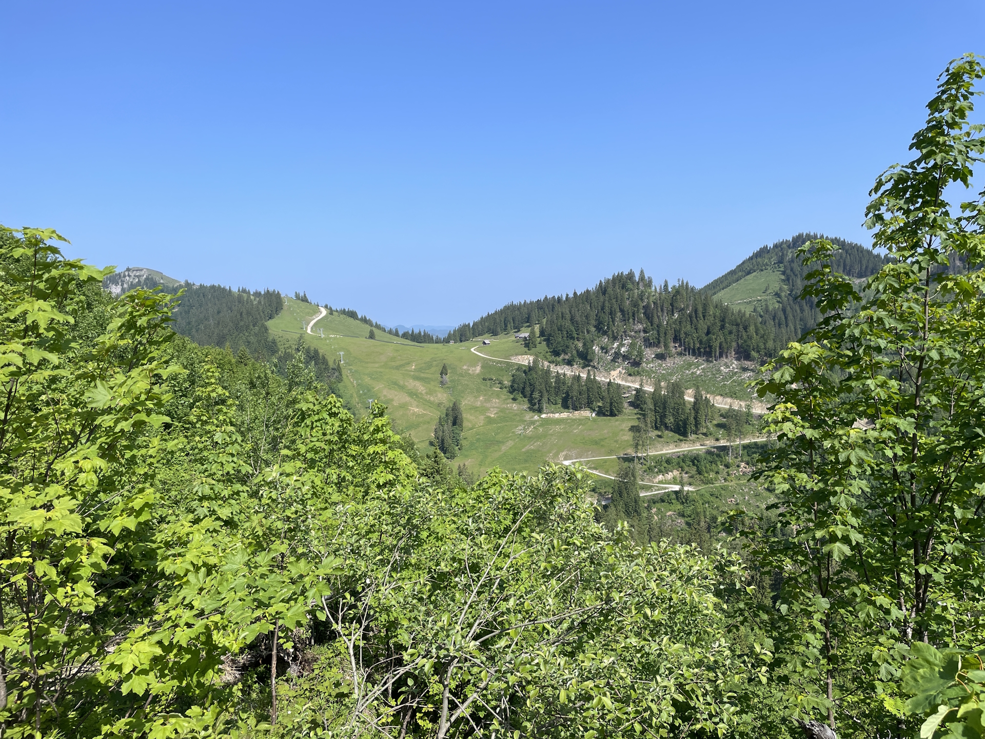 Look back at <i>Wetterinalm</i> (previous stage)