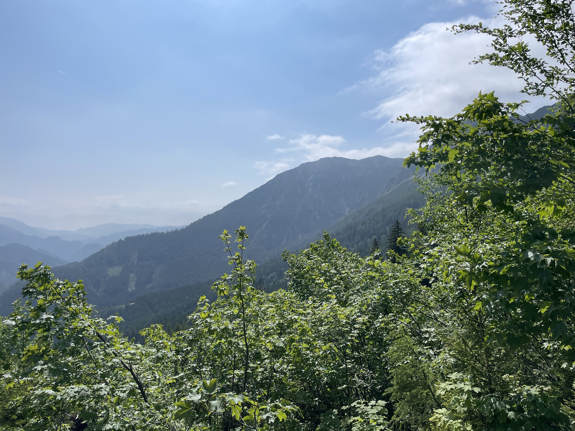 On the trail towards <i>Sohlenalm</i>