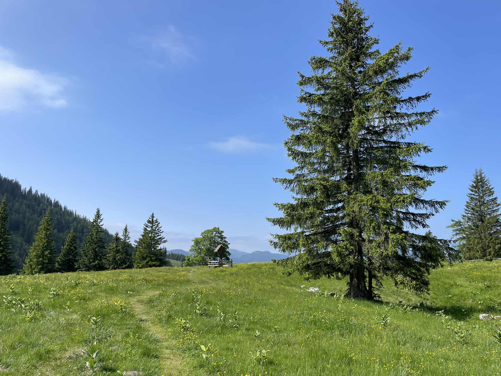 Approaching the stunning <i>Sohlenalm</i>