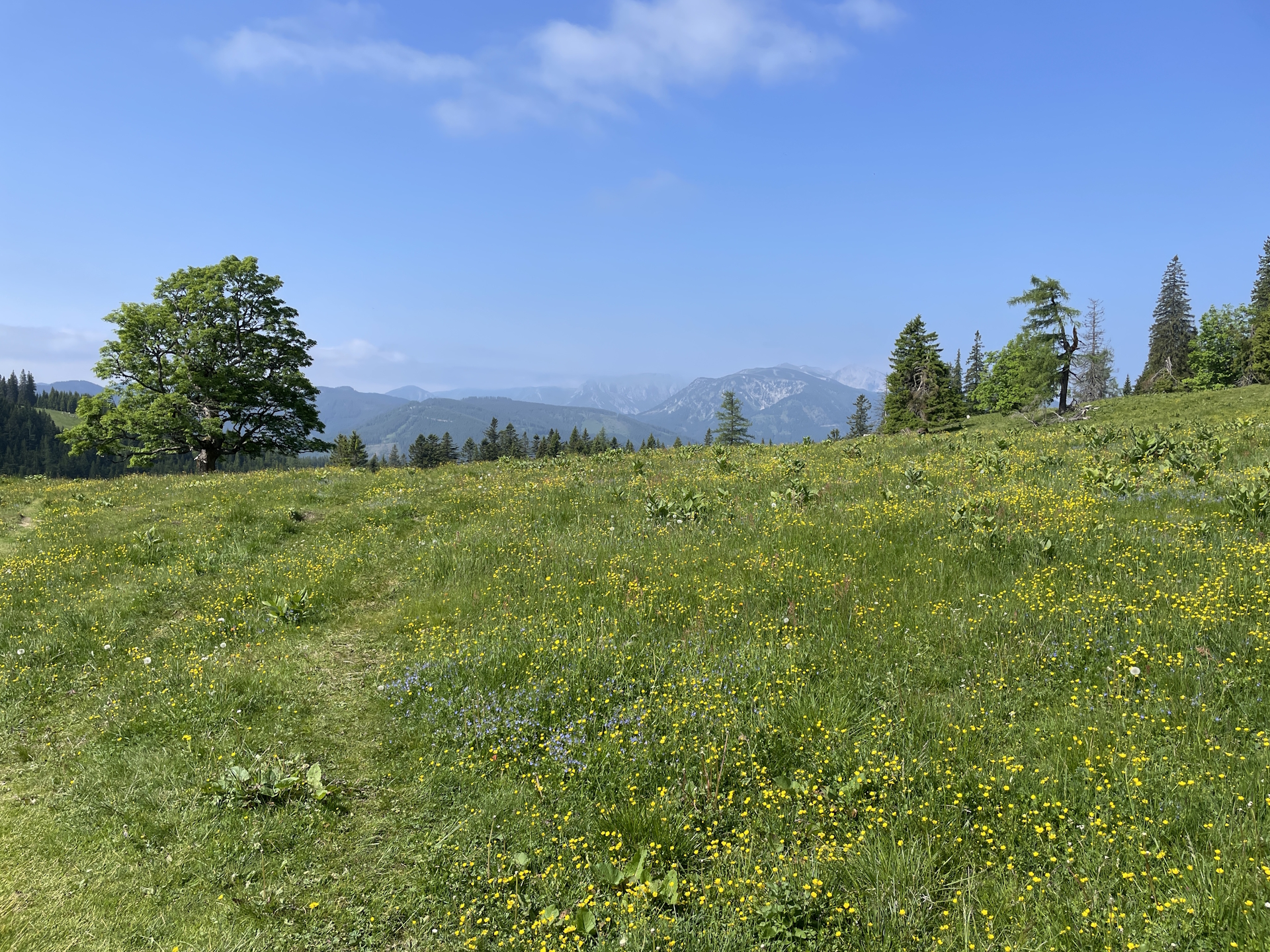 Amazing view from <i>Sohlenalm</i>