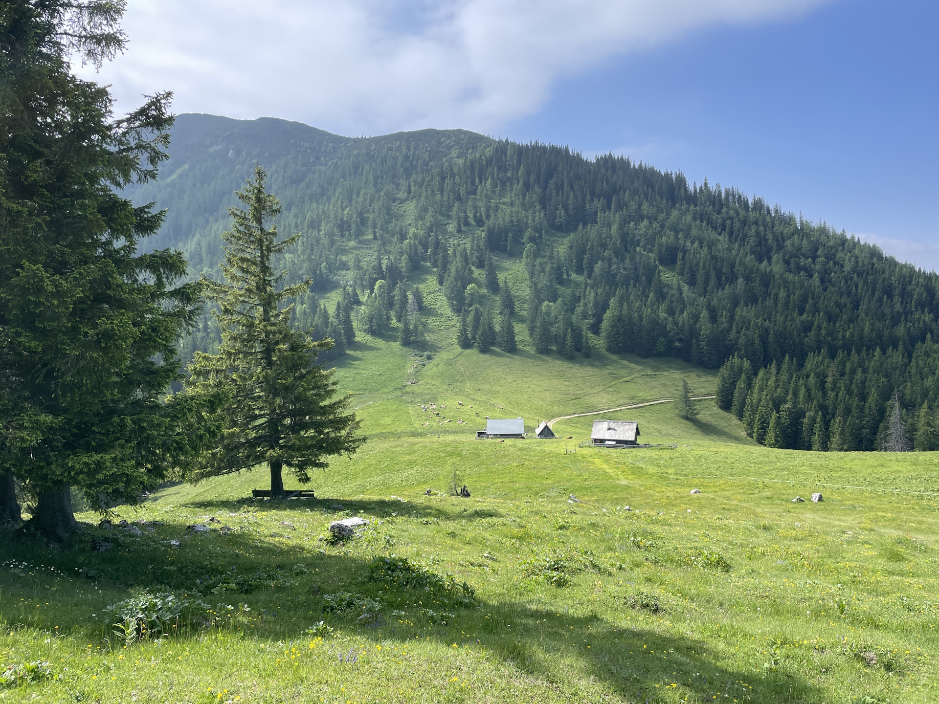 View towards the hut at <i>Sohlenalm</i>