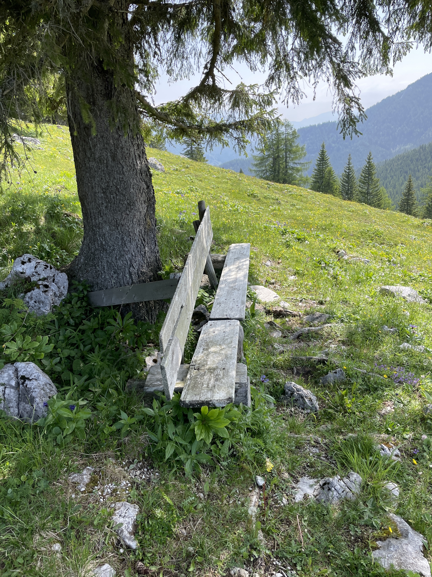 A super nice rest area in the shadow...
