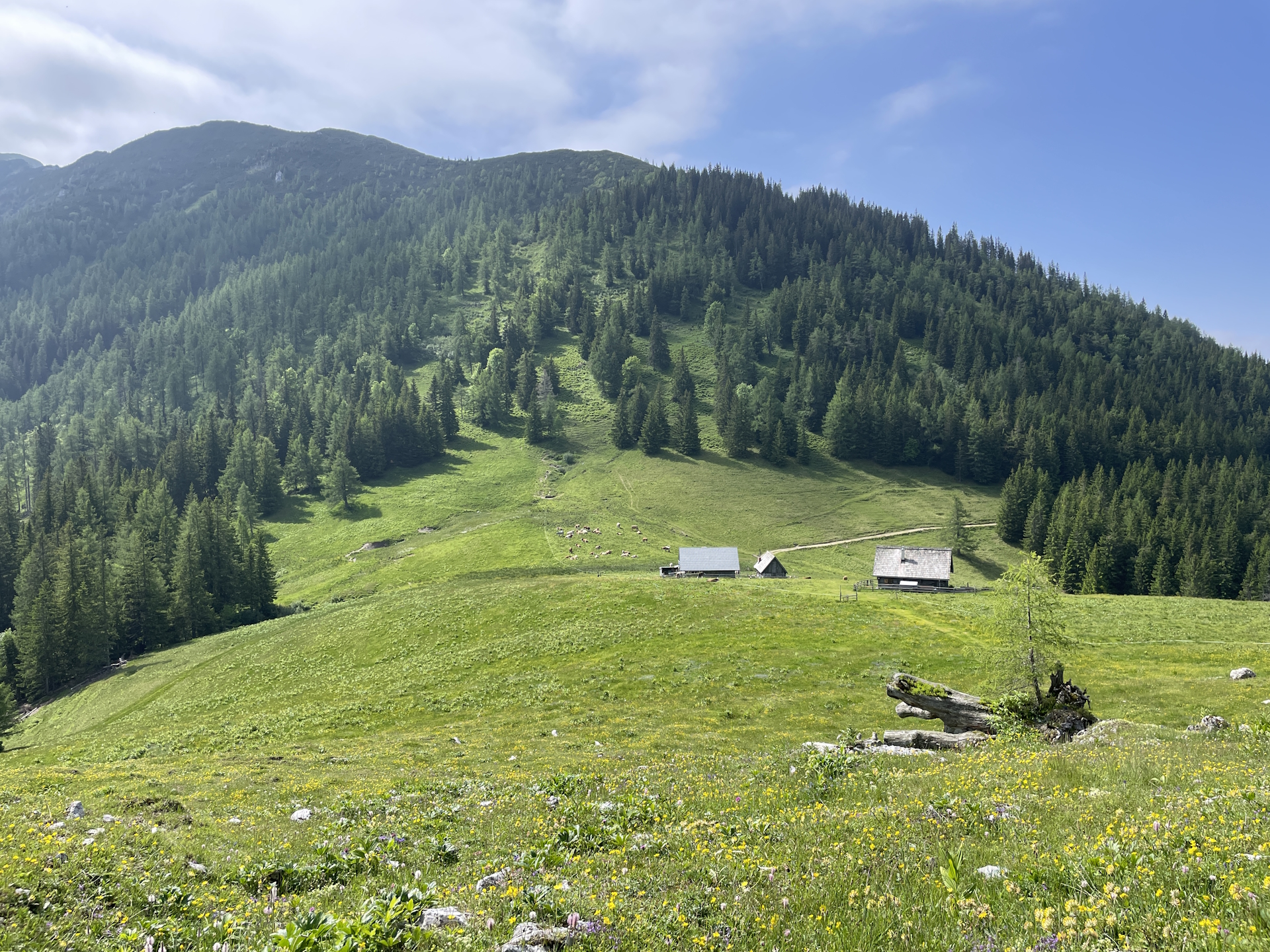 Towards the hut at <i>Sohlenalm</i>