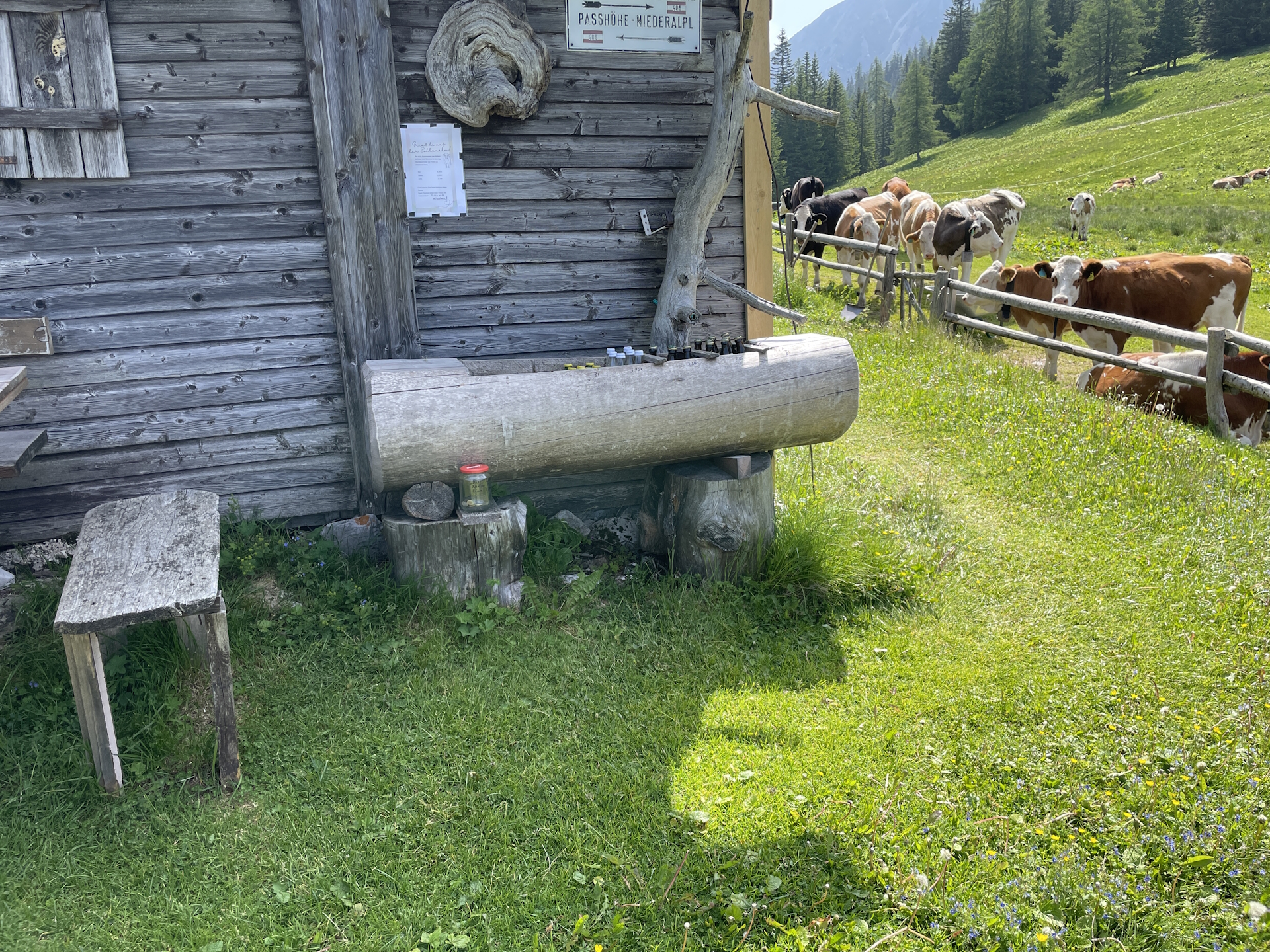 Bypassing the self-service fridge at <i>Sohlenalm</i>