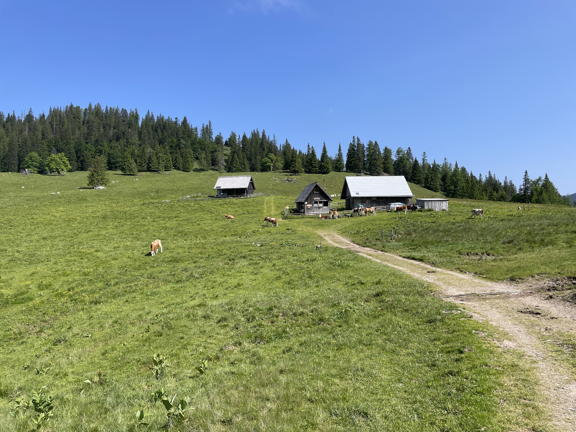 Leaving the beautiful <i>Sohlenalm</i> behind