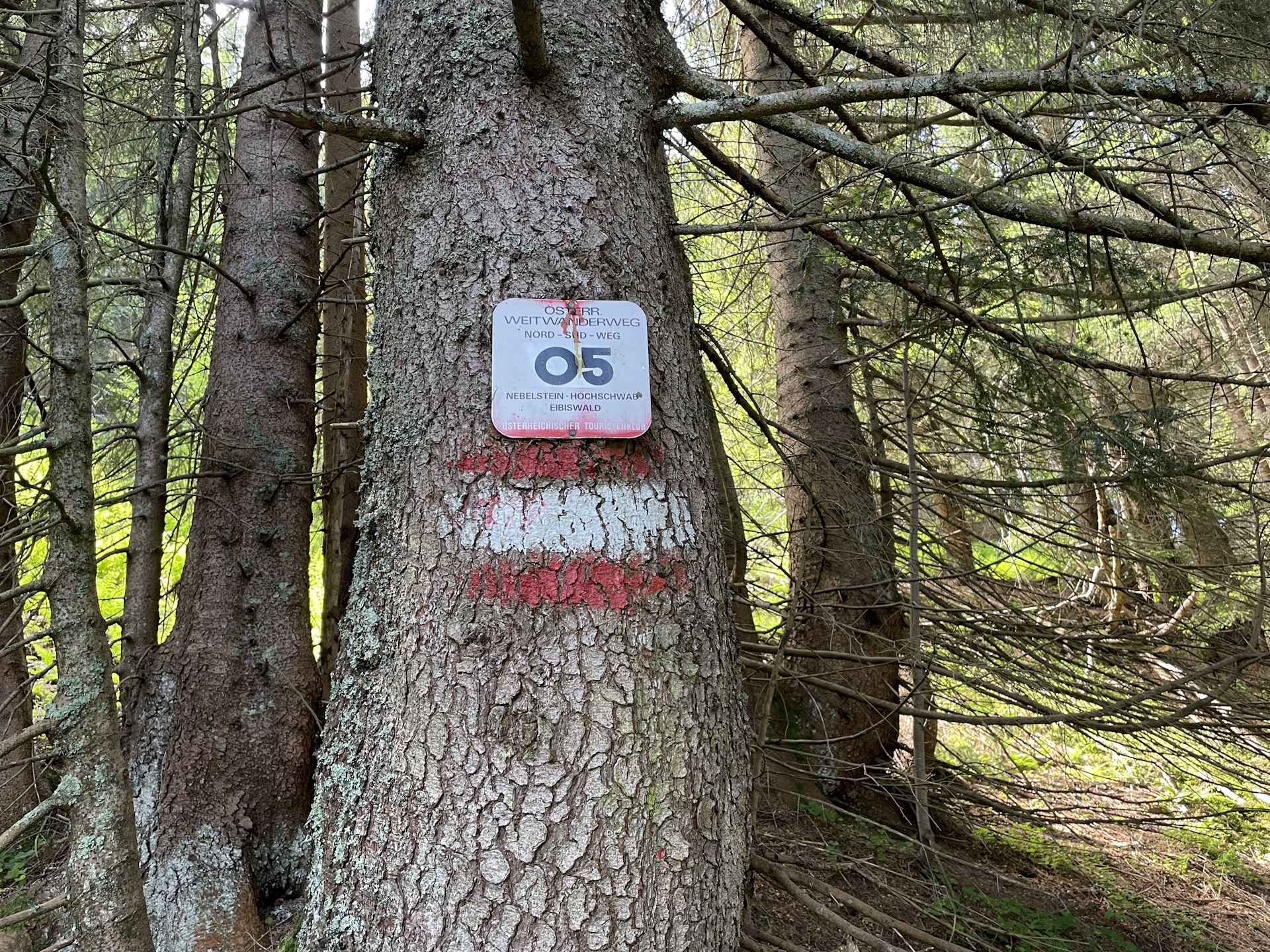 Follow the tail <i>05</i>