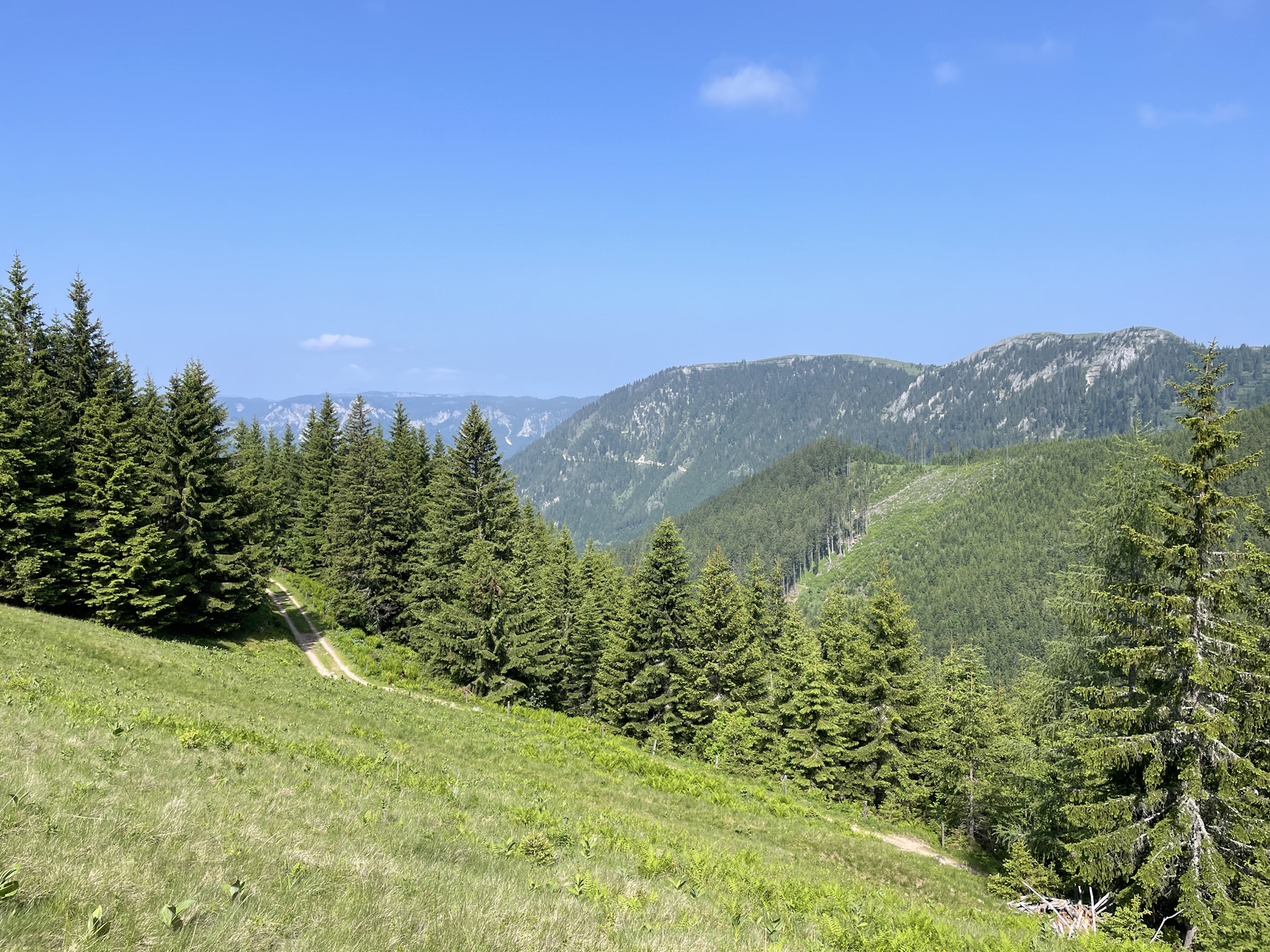 View from the trail towards <i>Hohe Veitsch</i>