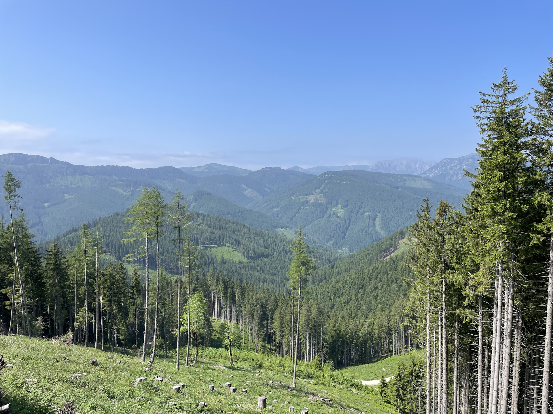 Stunning panorama view from the trail to <i>Hohe Veitsch</i>