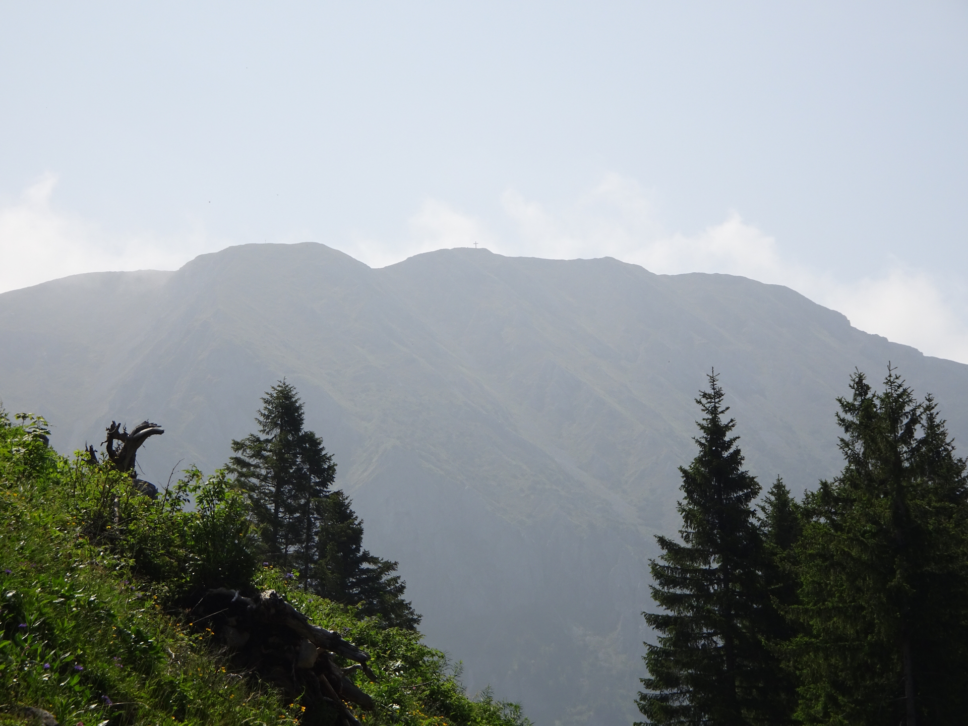 A first glimpse to the summit of <i>Hohe Veitsch</i>