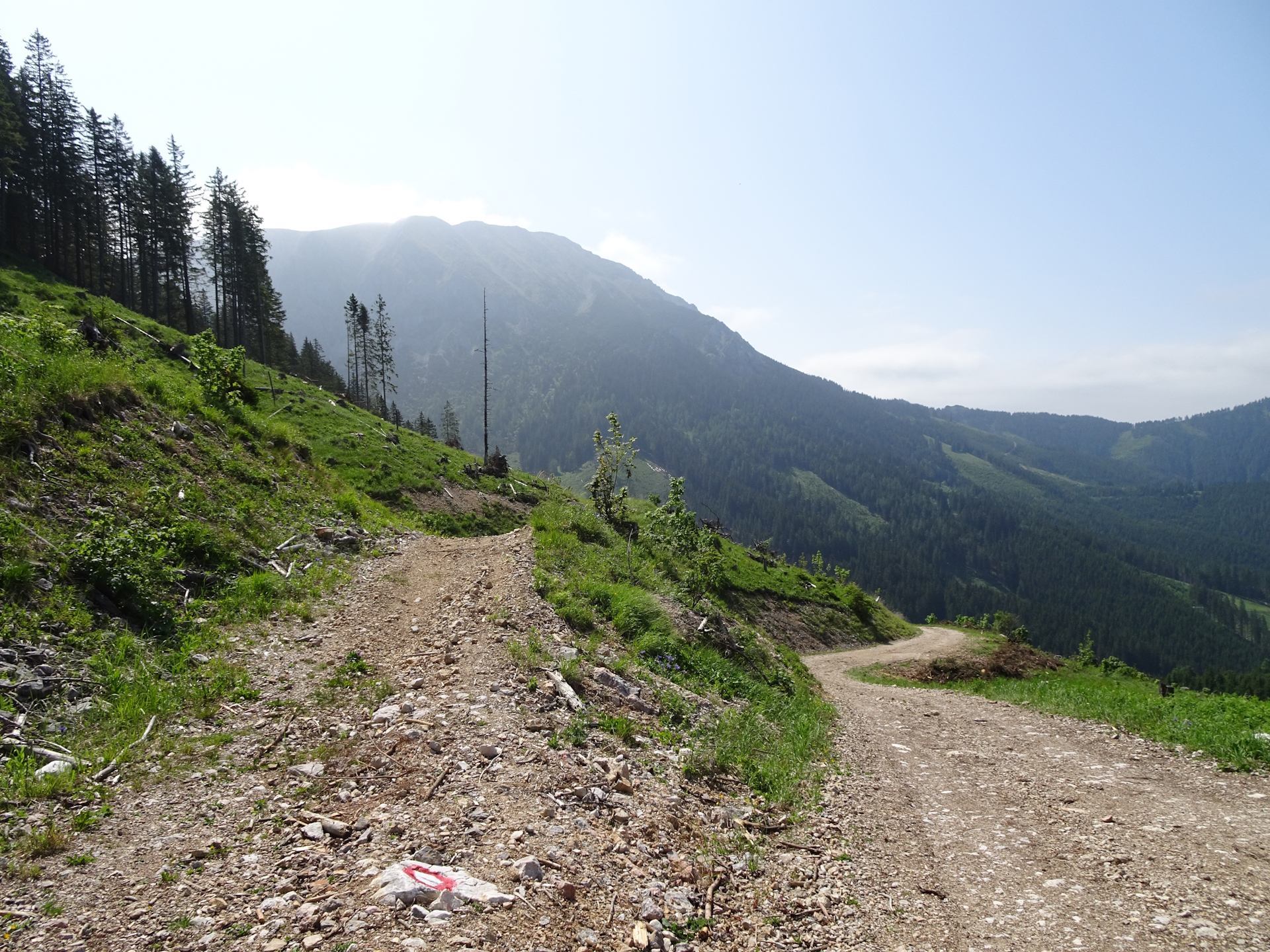 Turn left here!!! - and follow the marked trail