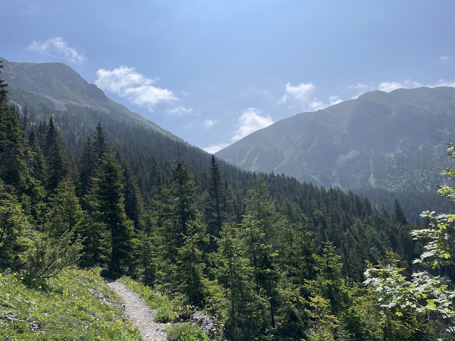 On the trail towards <i>Hohe Veitsch</i>