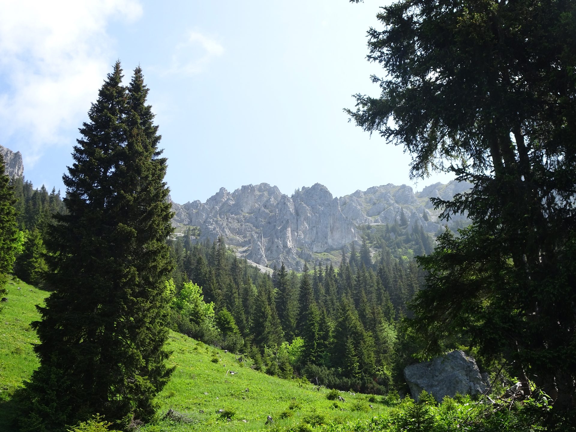 Impressive view from the trail towards <i>Wildkamm</i>