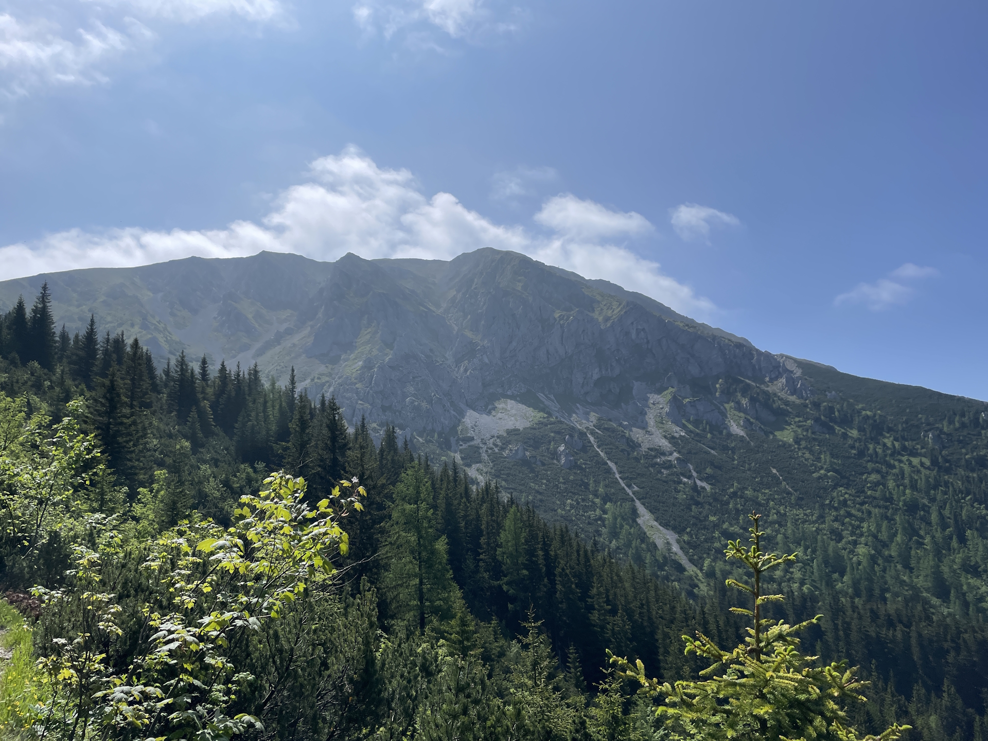 On the trail towards <i>Hohe Veitsch</i>