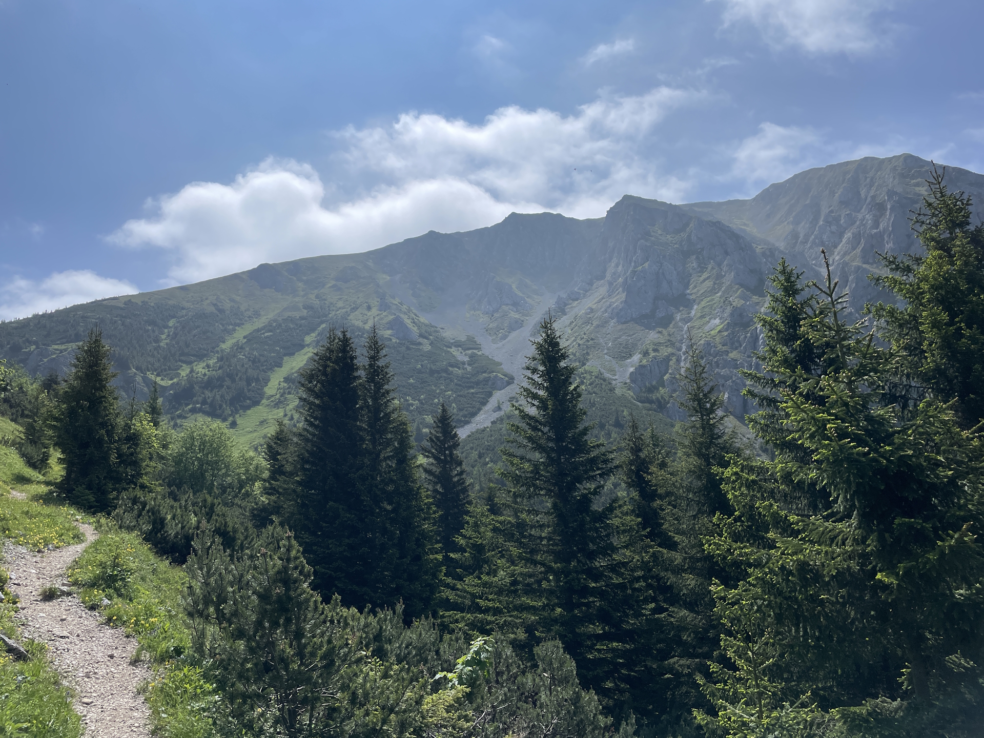 On the trail towards <i>Hohe Veitsch</i>