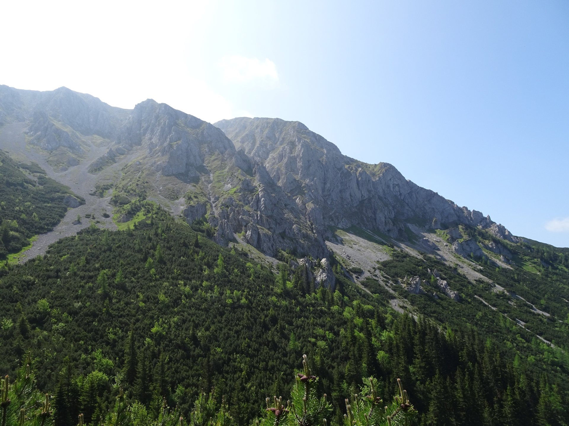 On the trail towards <i>Hohe Veitsch</i>