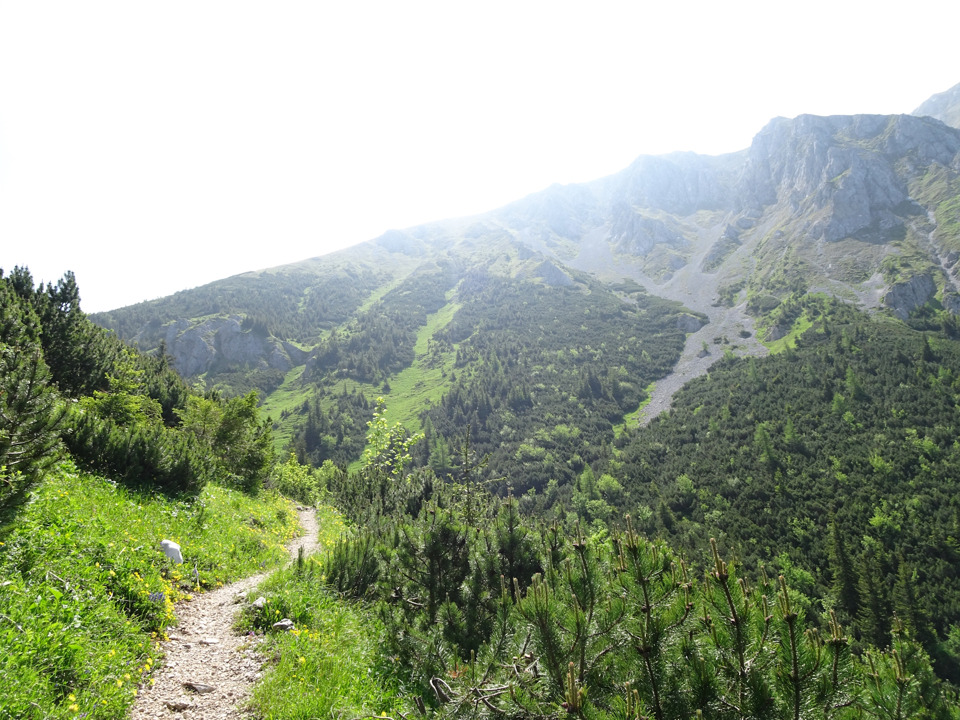 On the beautiful trail towards <i>Hohe Veitsch</i>